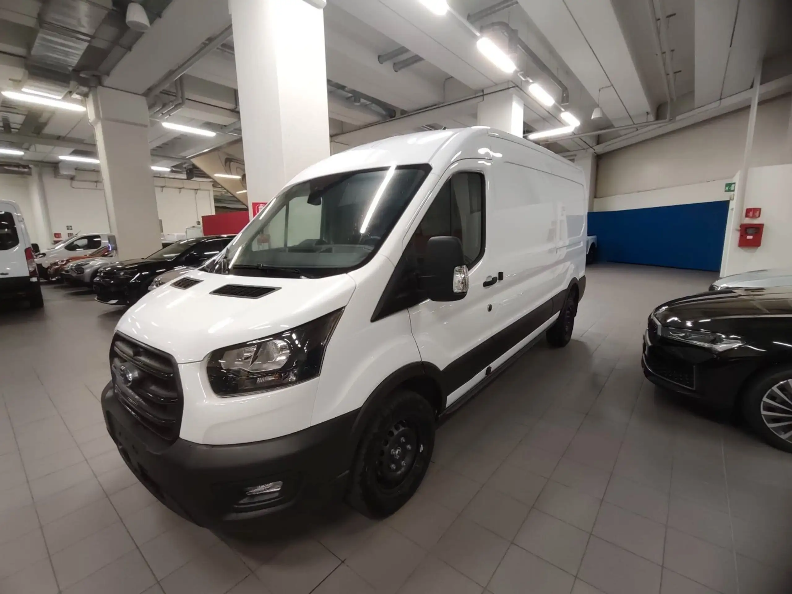 Ford - Transit