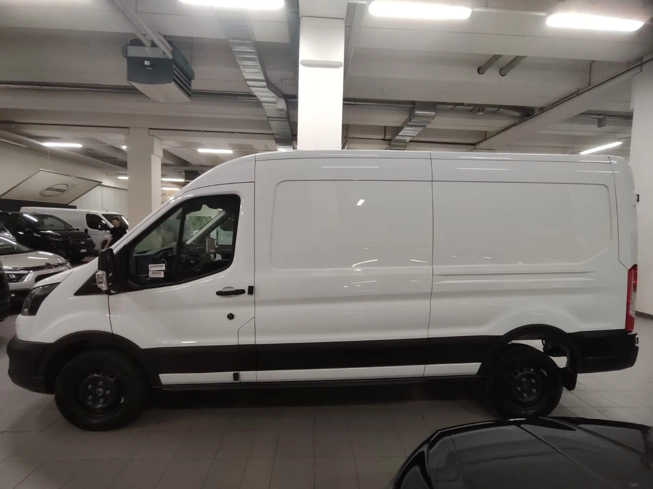 Ford - Transit