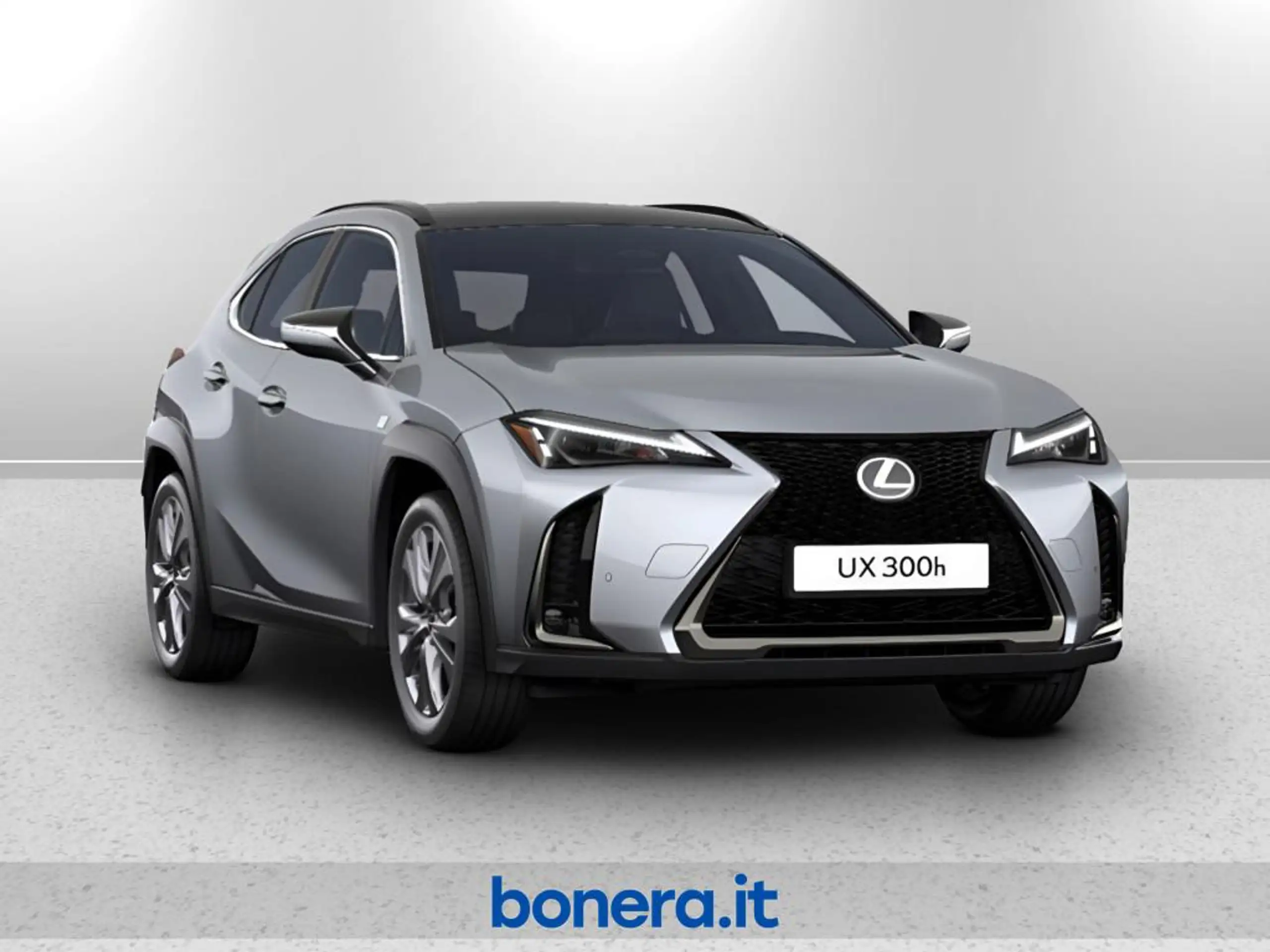 Lexus - UX 300e