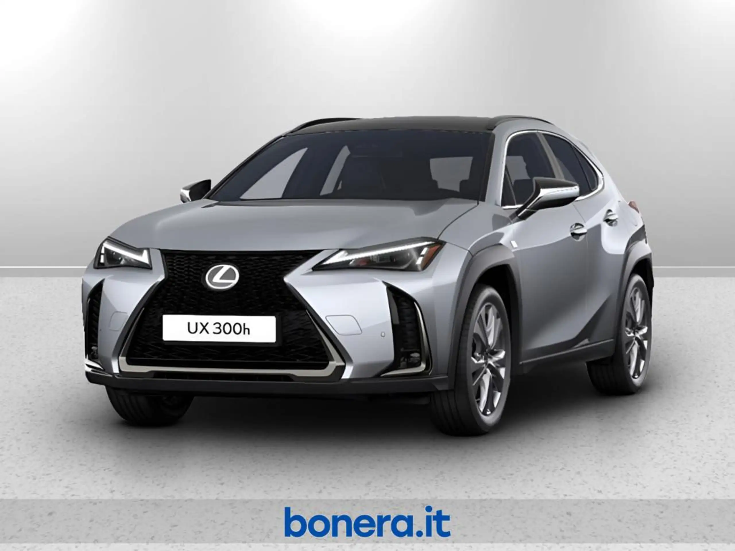 Lexus - UX 300e