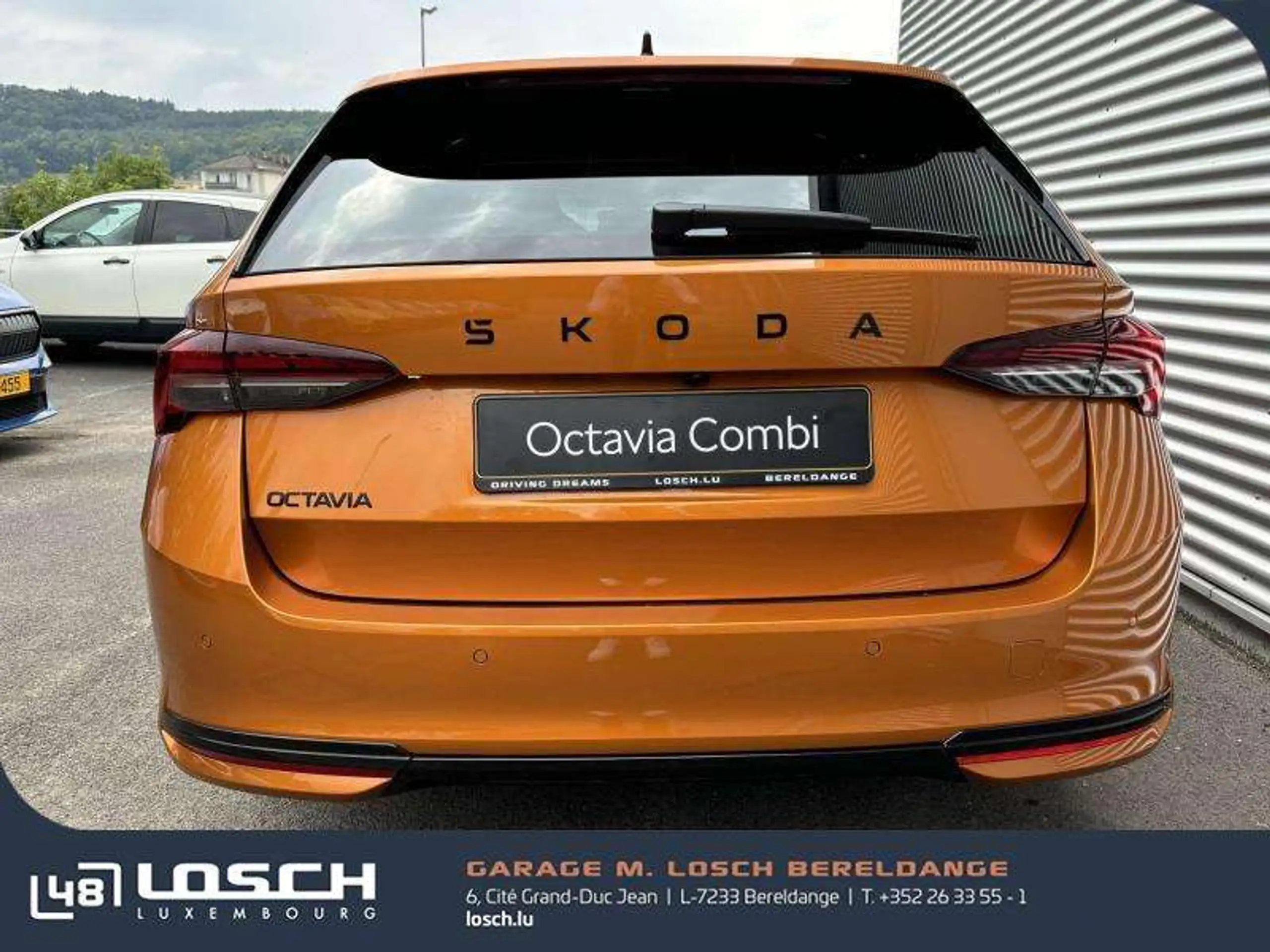 Skoda - Octavia