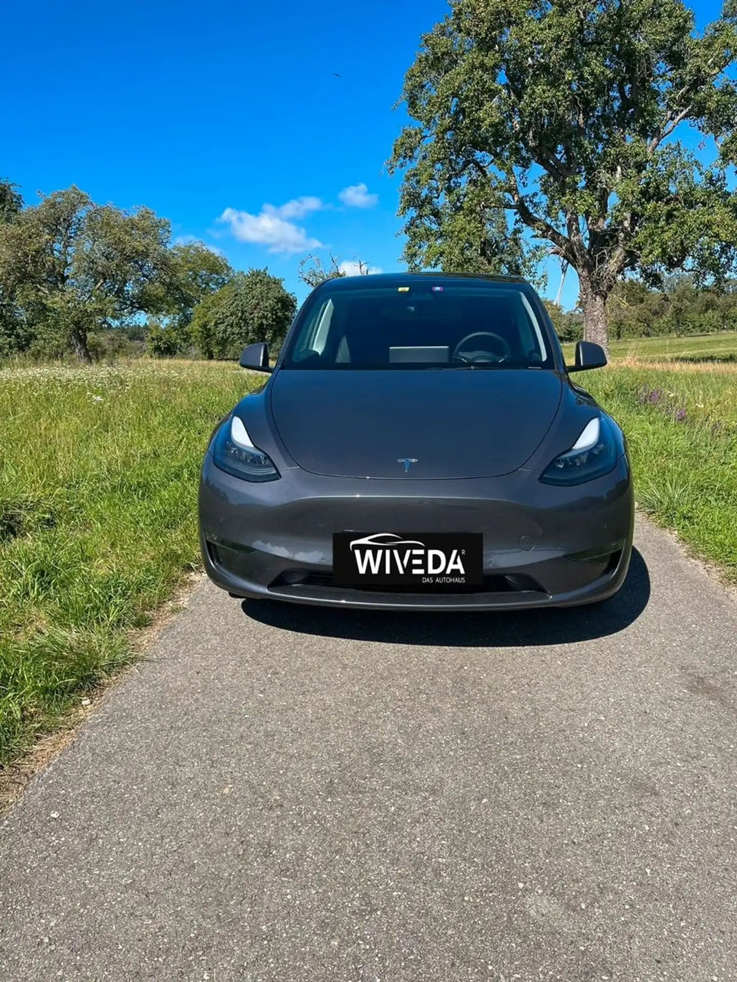 Tesla - Model Y