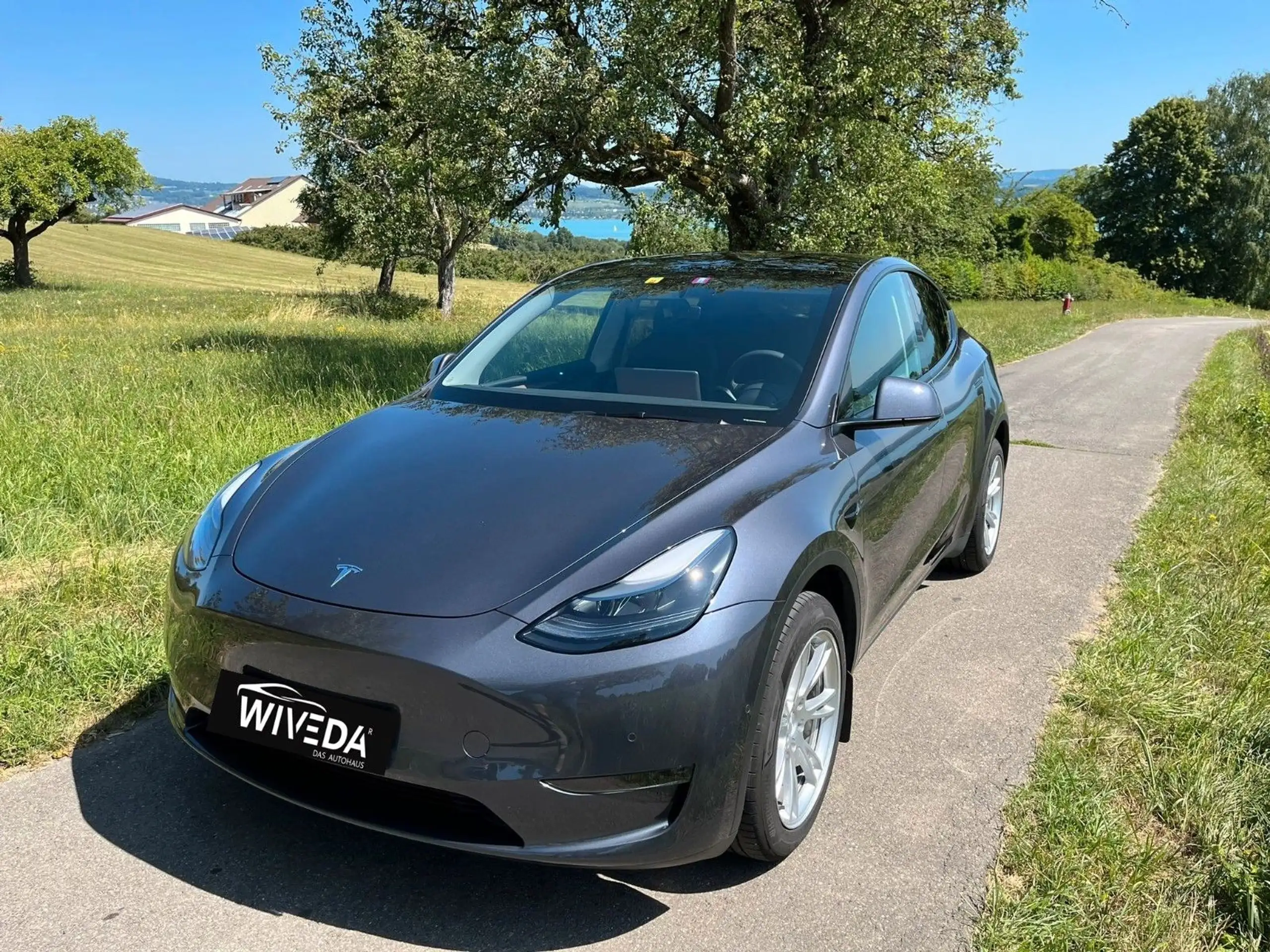 Tesla - Model Y