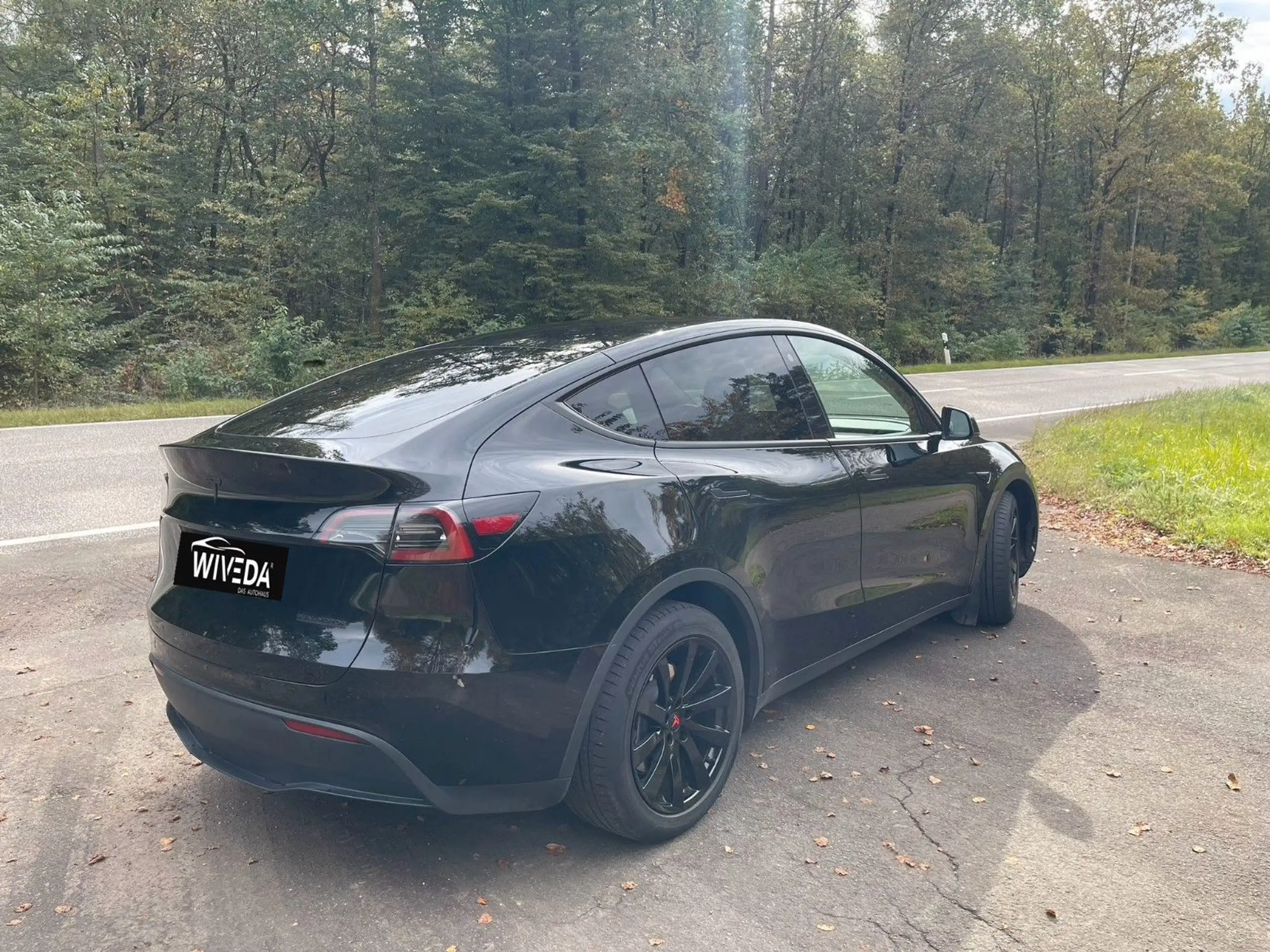 Tesla - Model Y