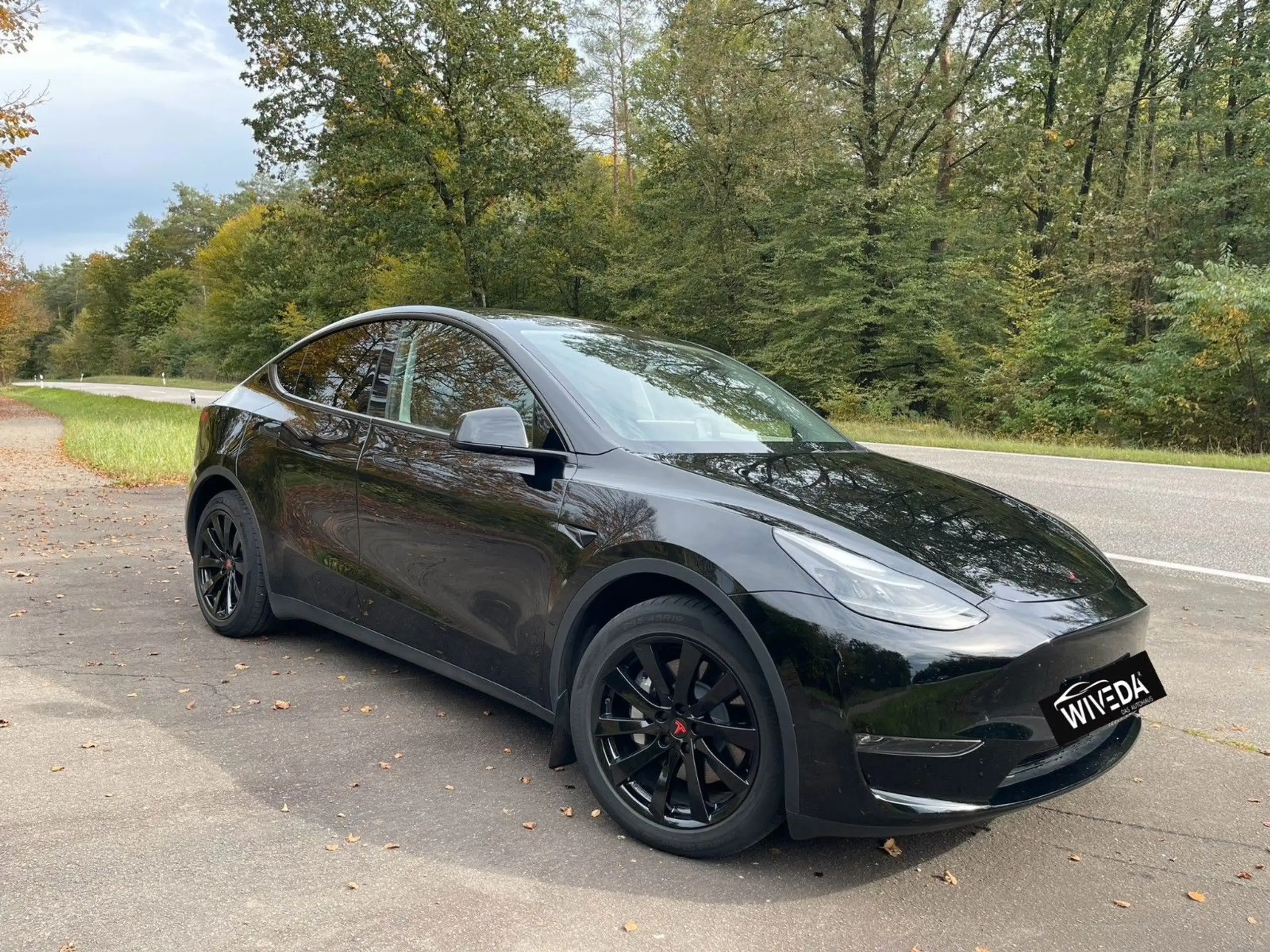 Tesla - Model Y