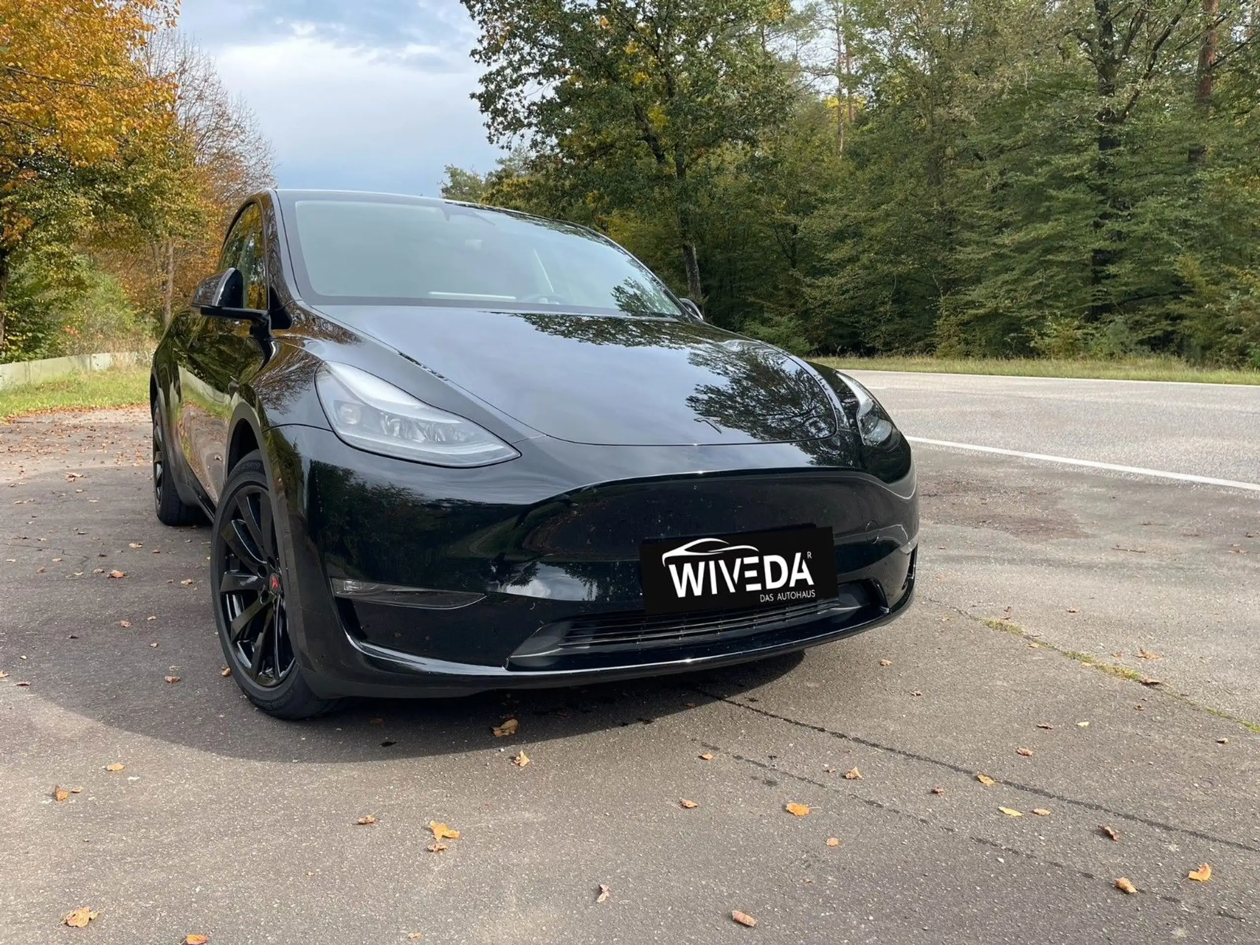 Tesla - Model Y