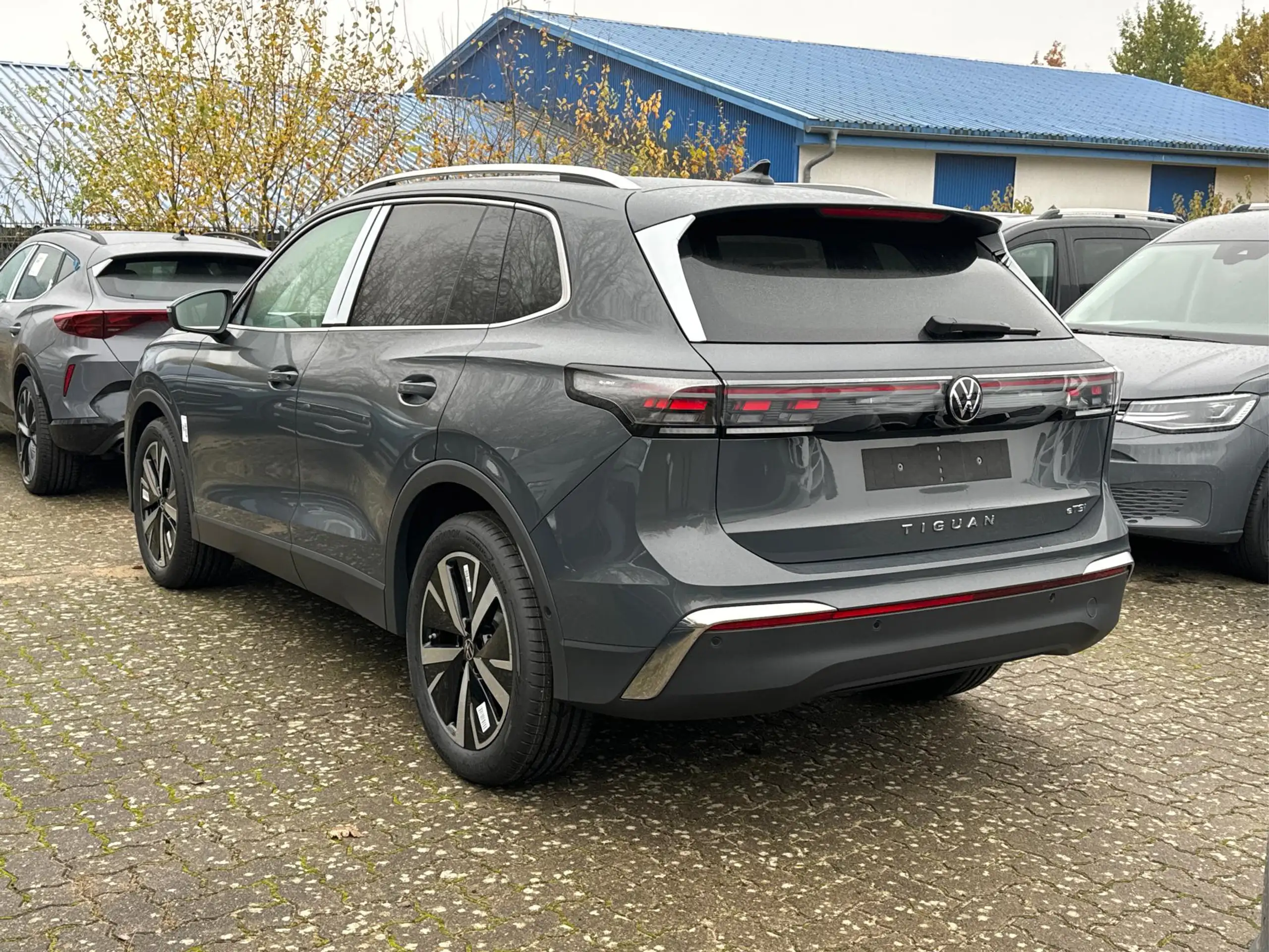 Volkswagen - Tiguan