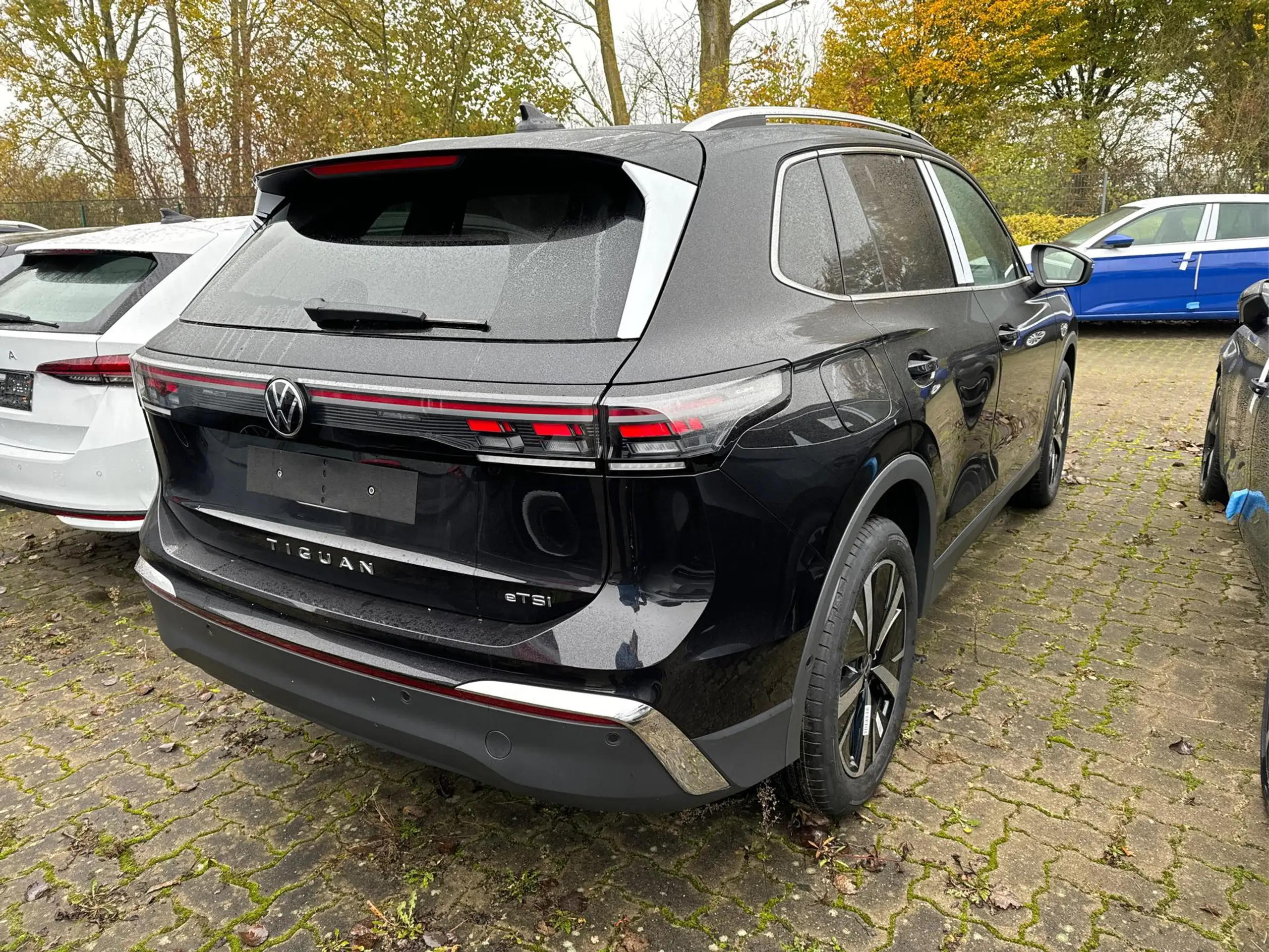 Volkswagen - Tiguan