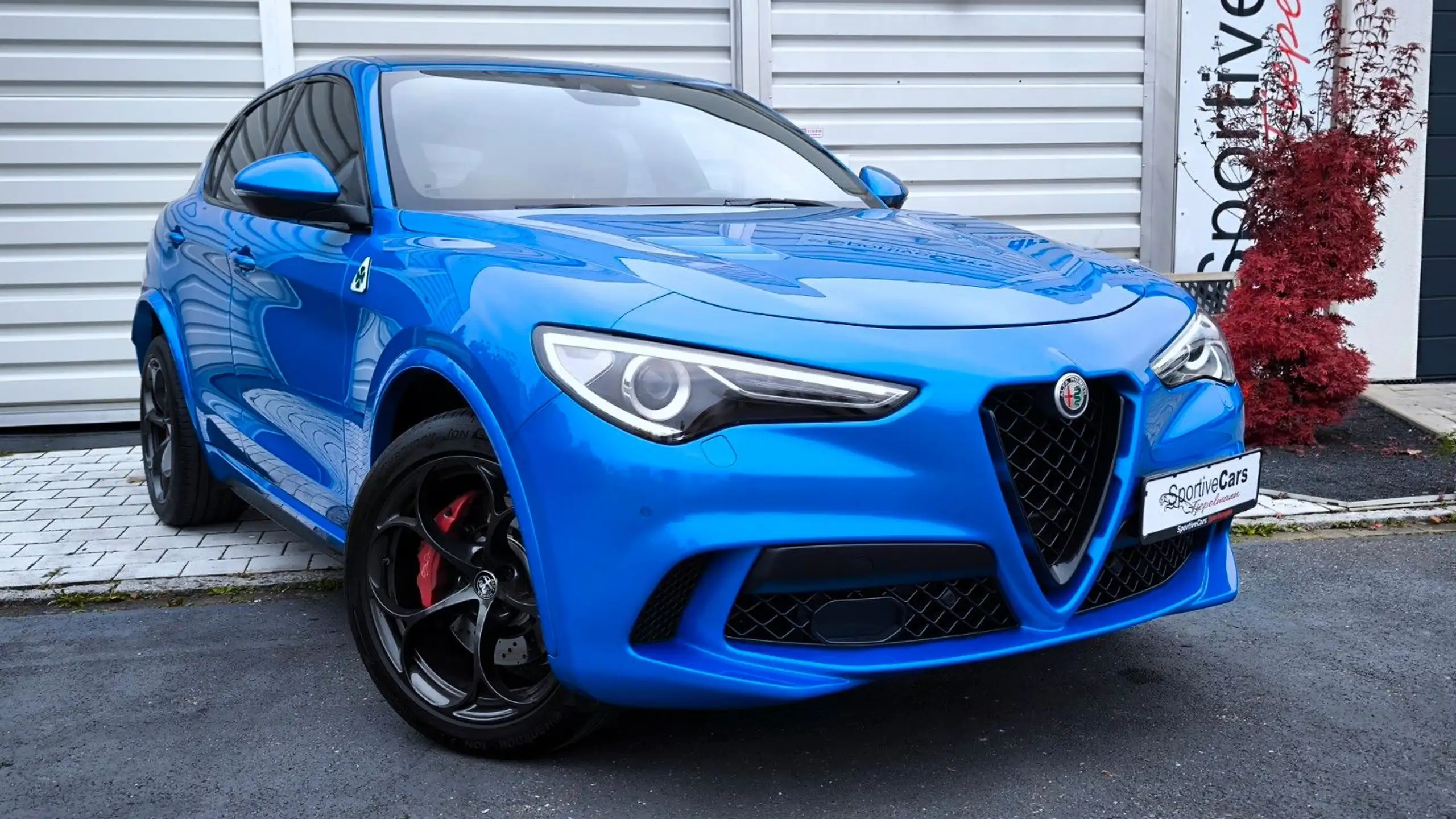 Alfa Romeo - Stelvio