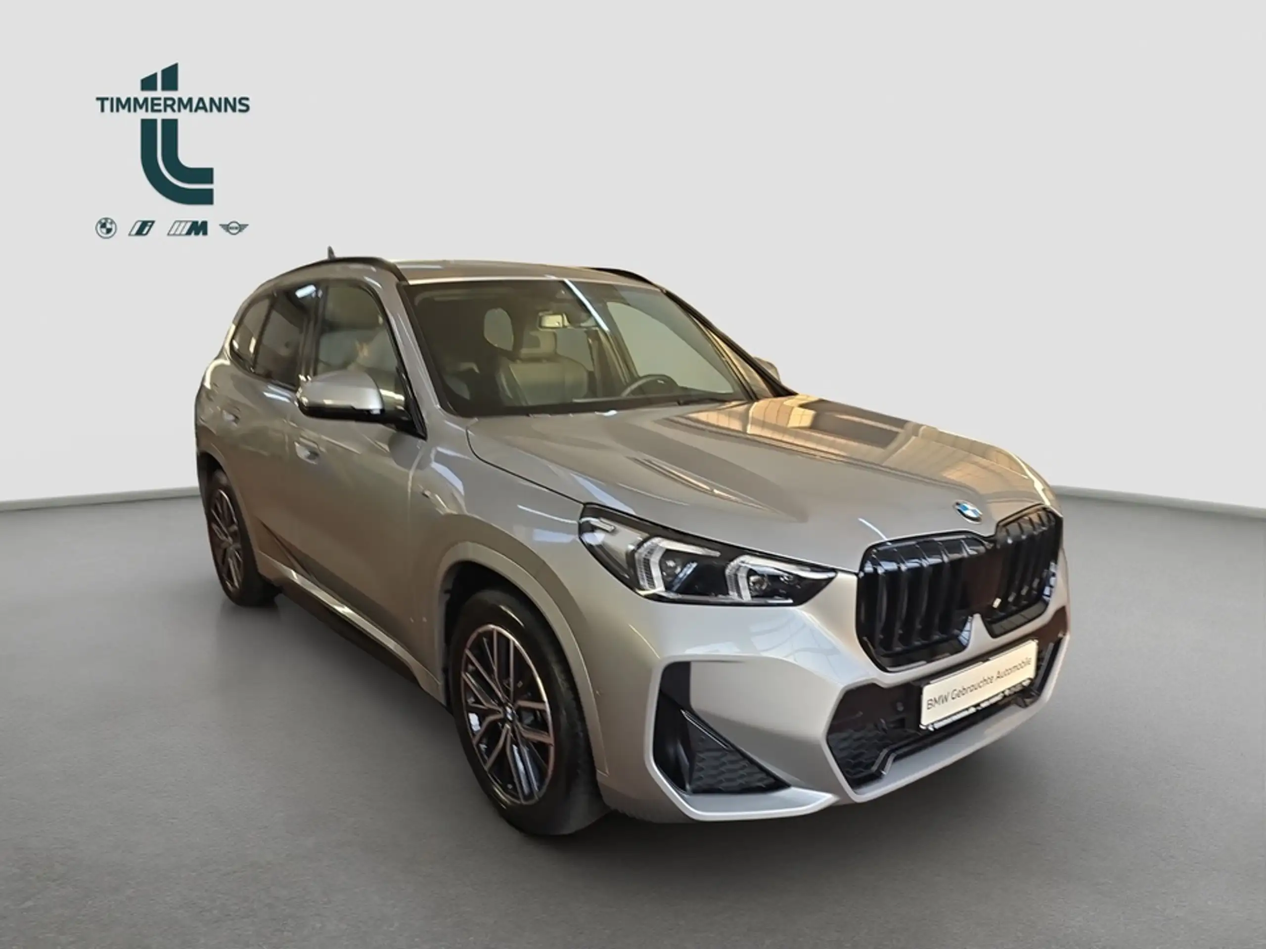 BMW - X1