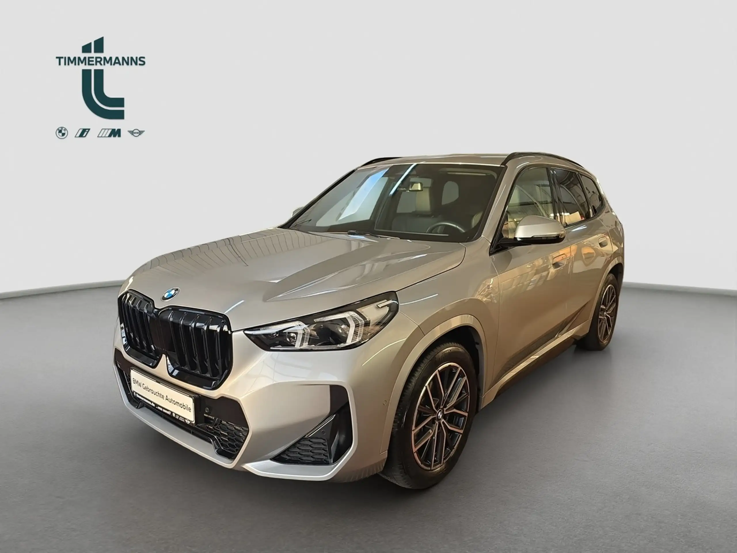 BMW - X1