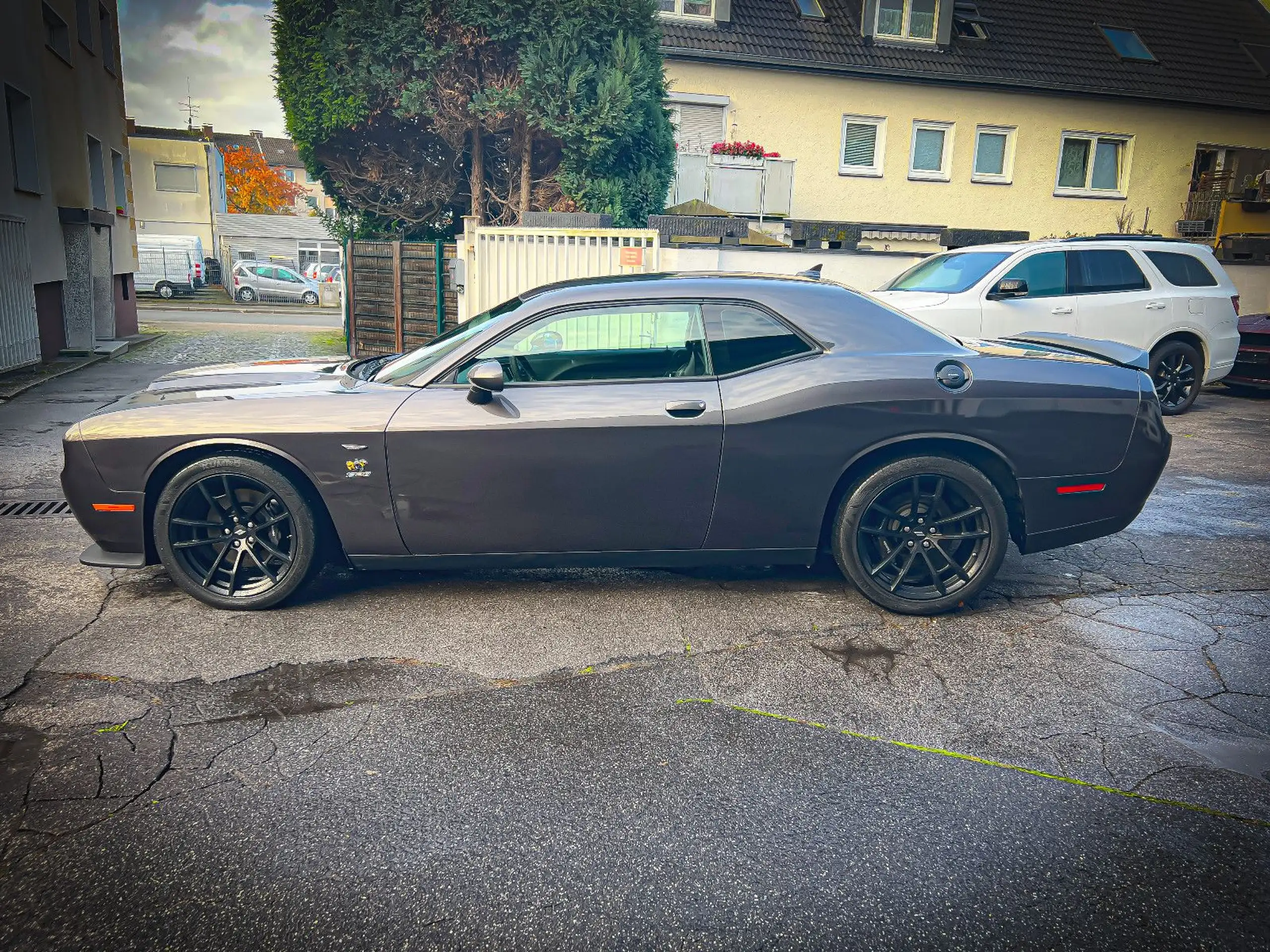 Dodge - Challenger