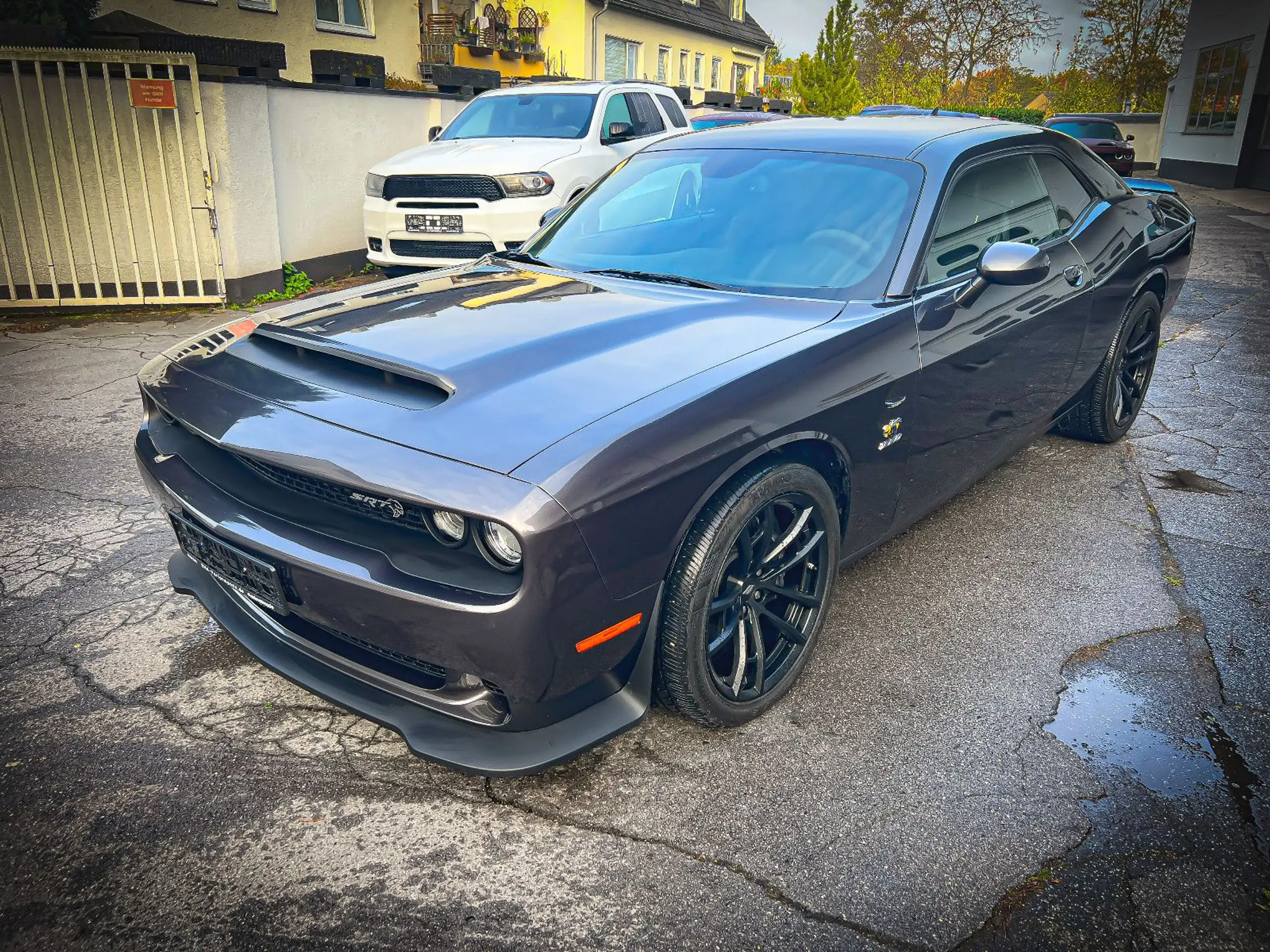 Dodge - Challenger