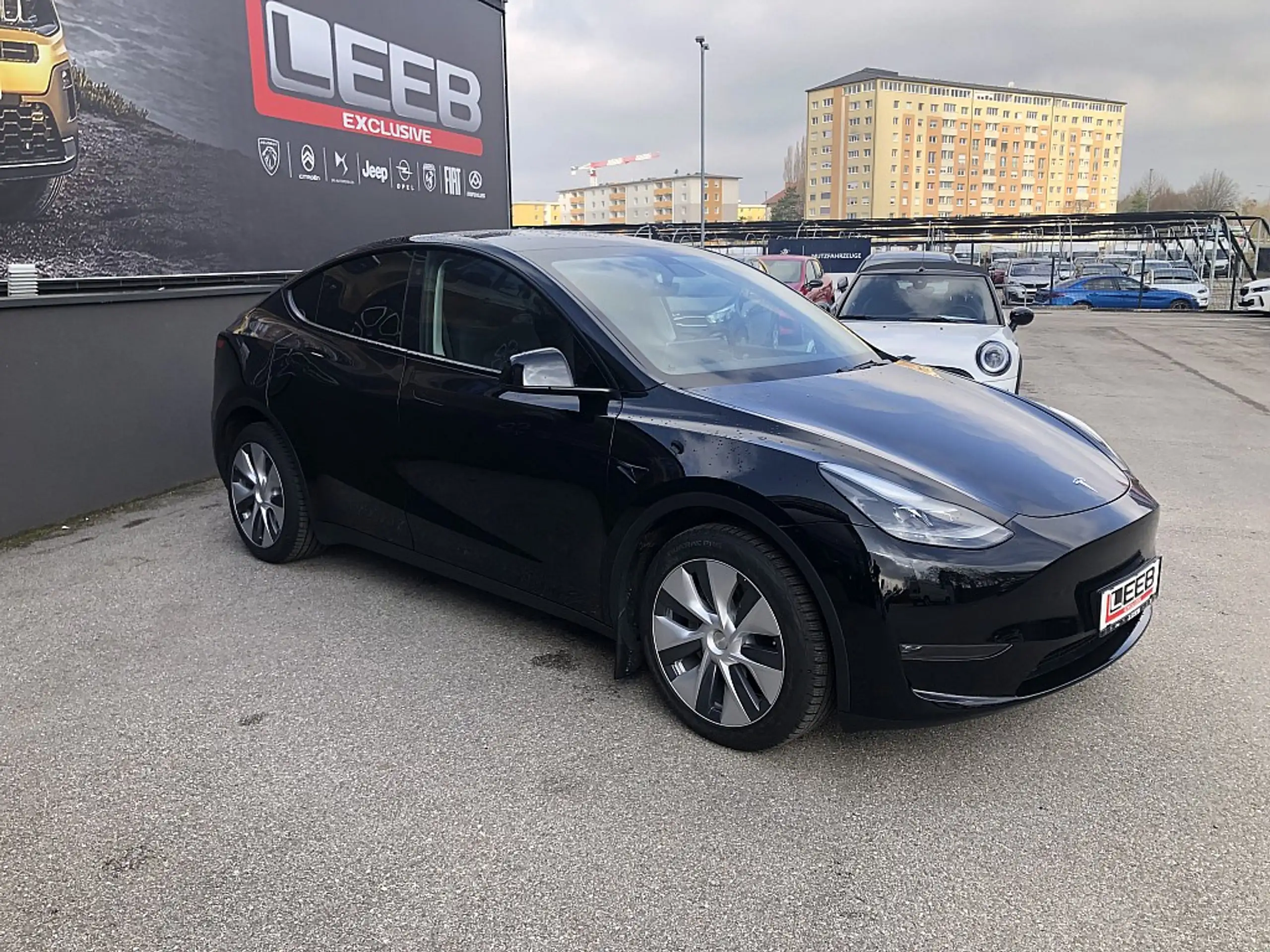 Tesla - Model Y