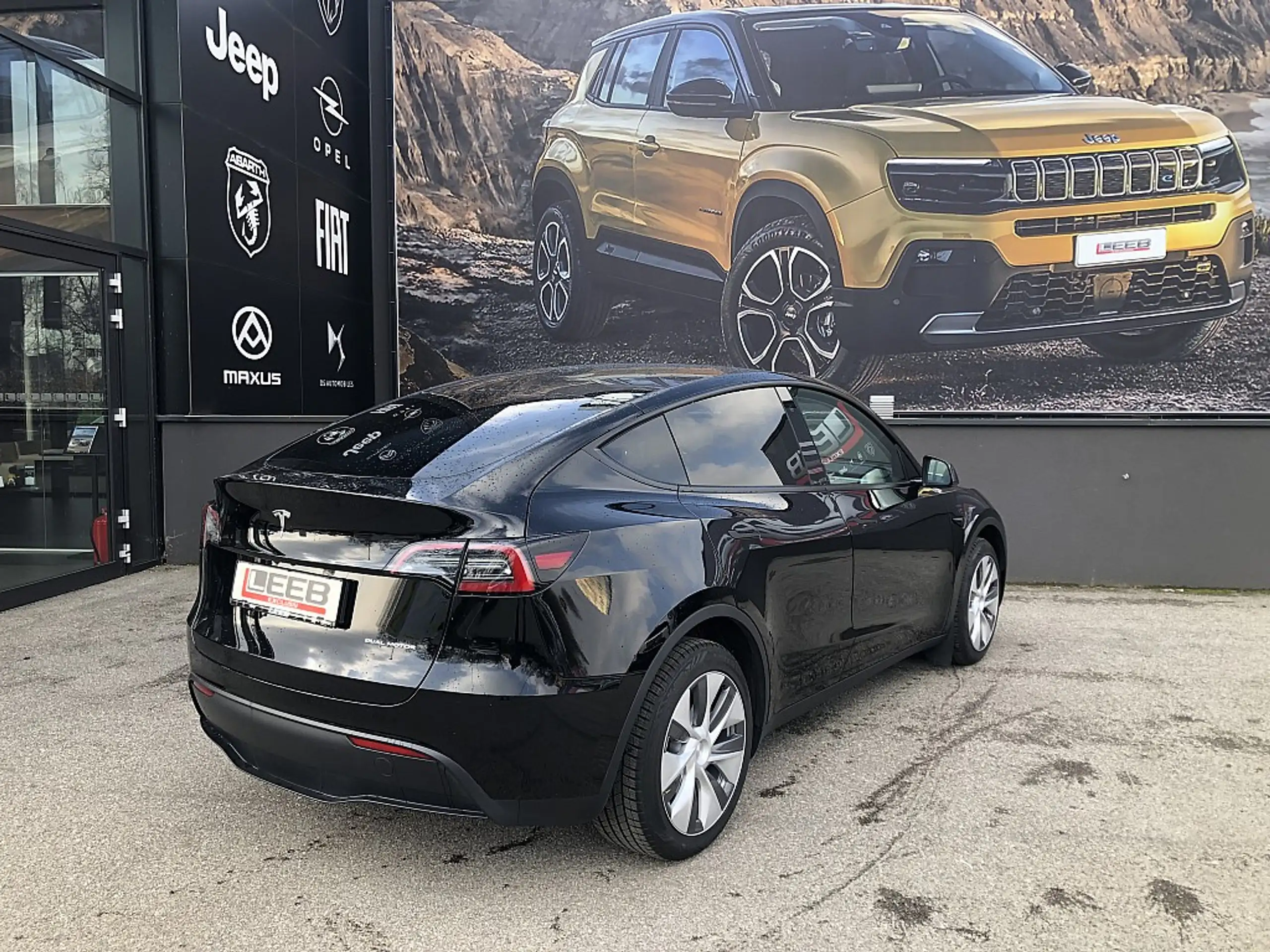 Tesla - Model Y