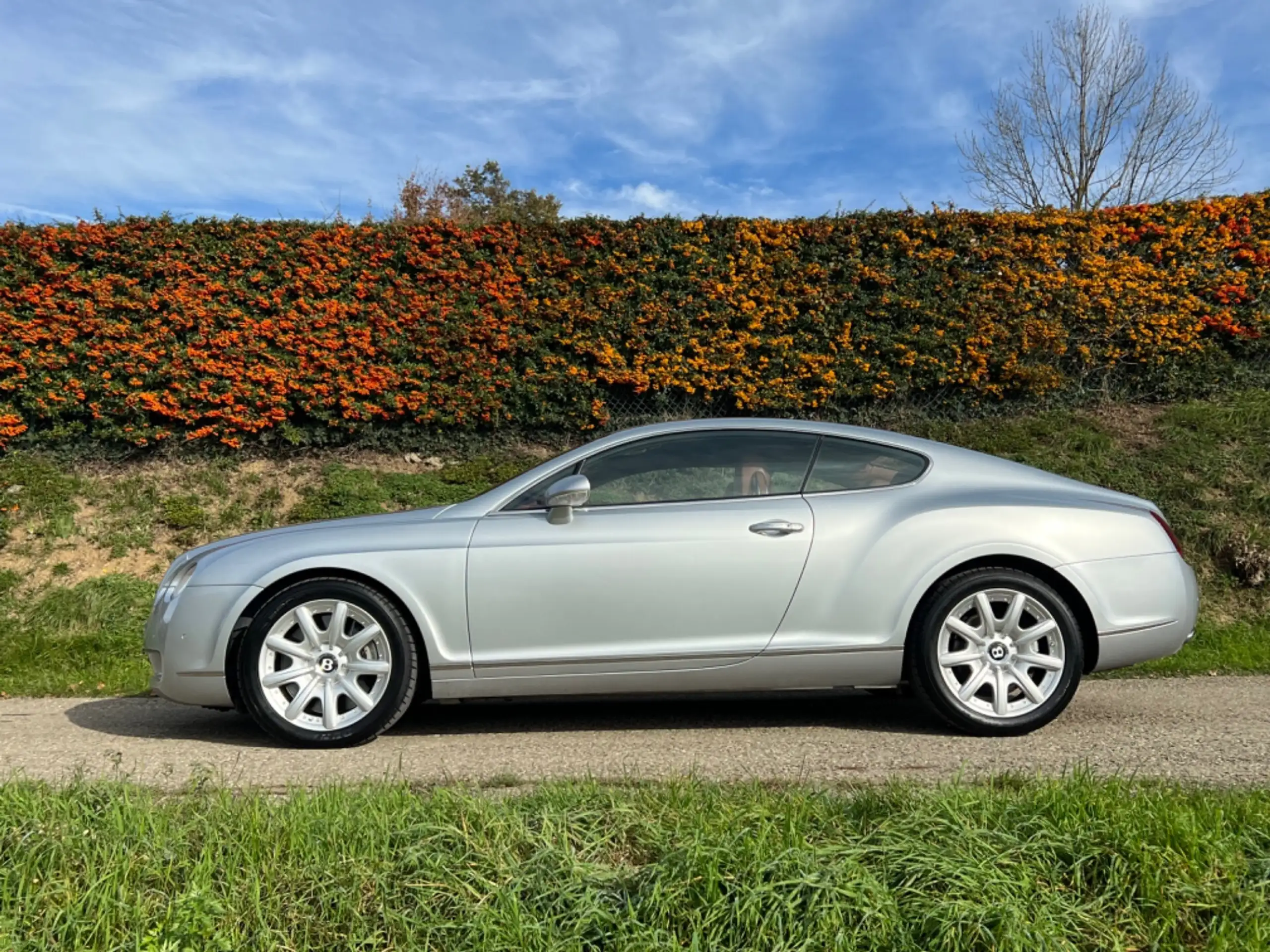 Bentley - Continental