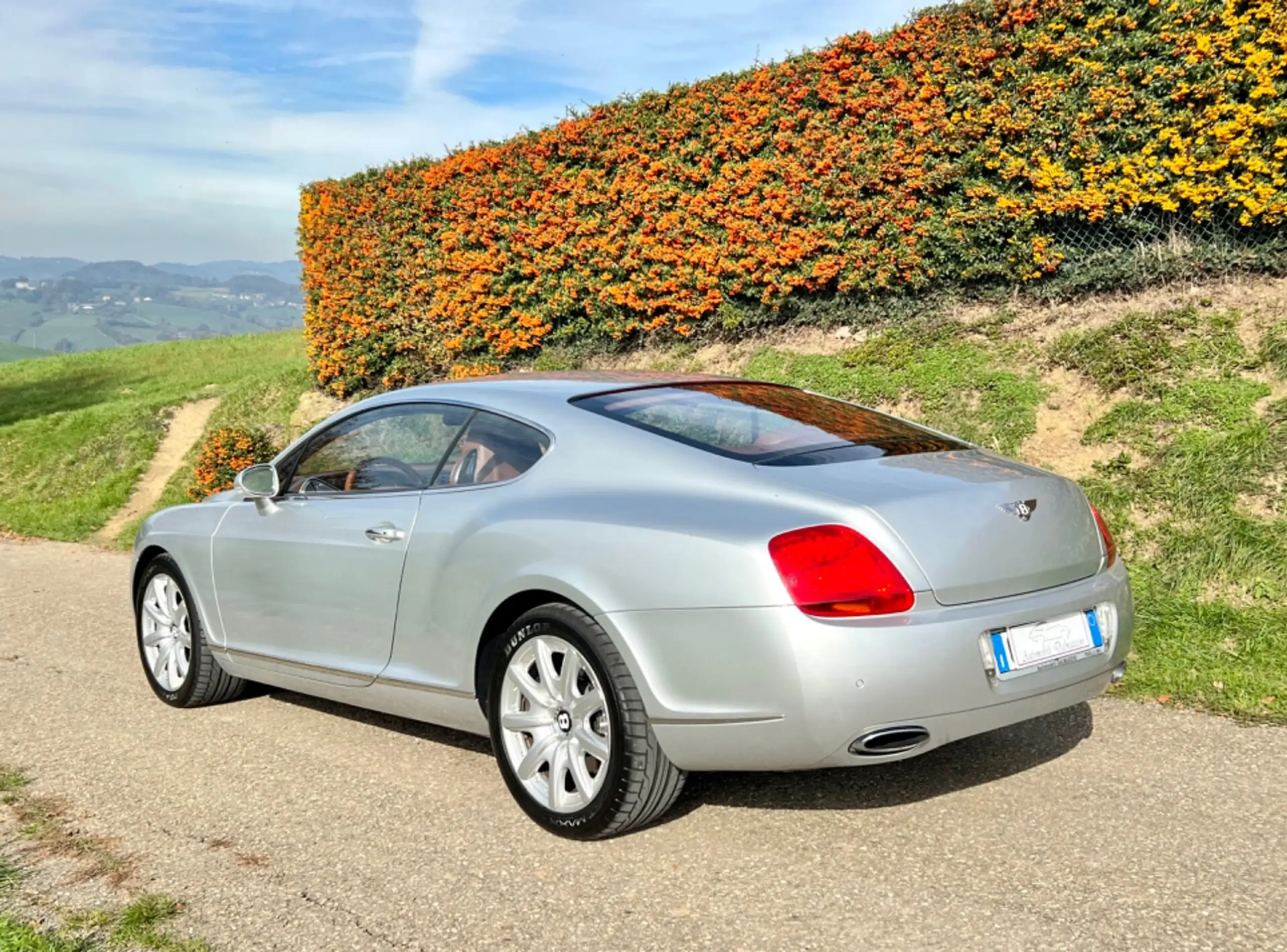 Bentley - Continental