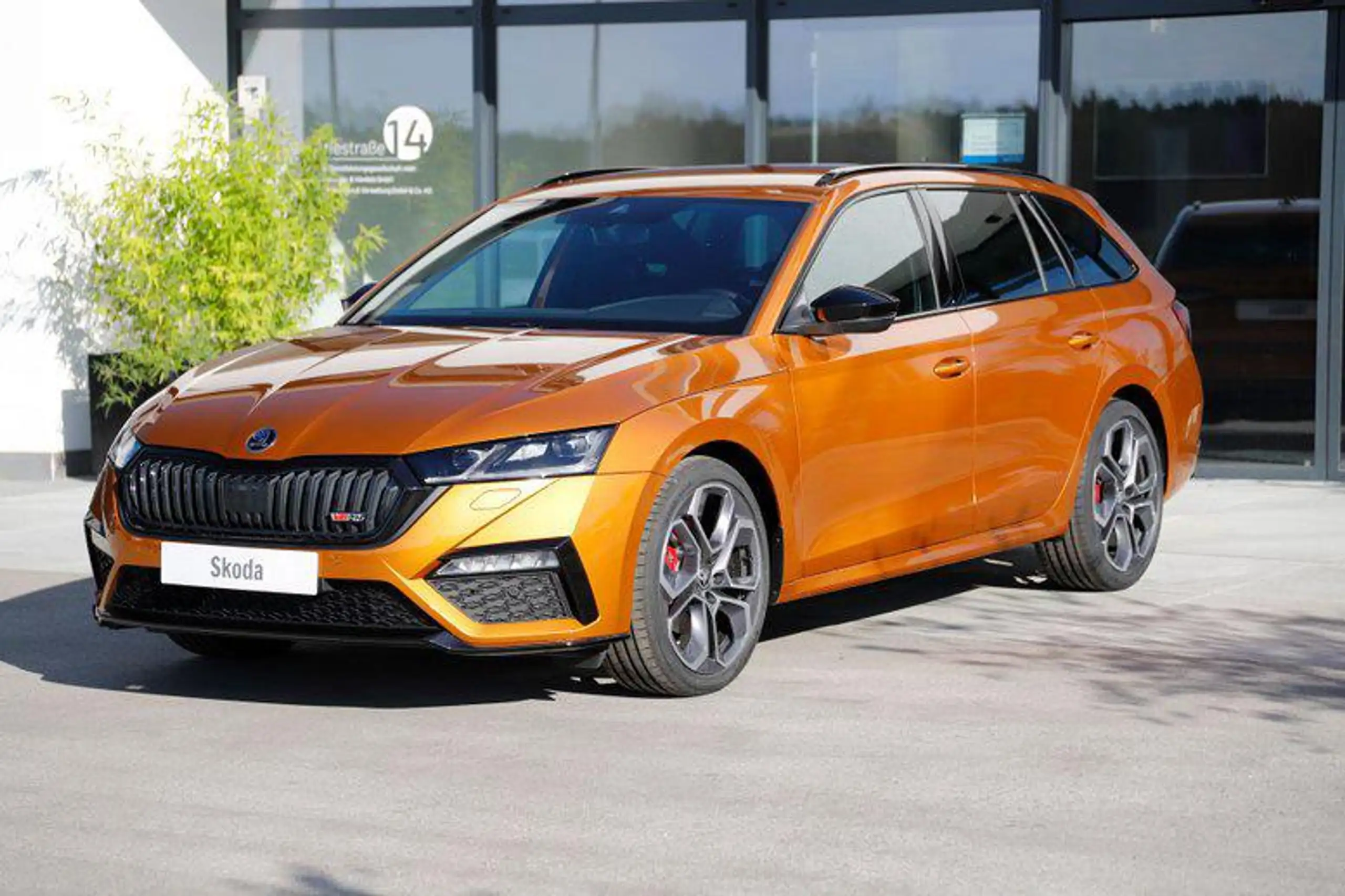 Skoda - Octavia