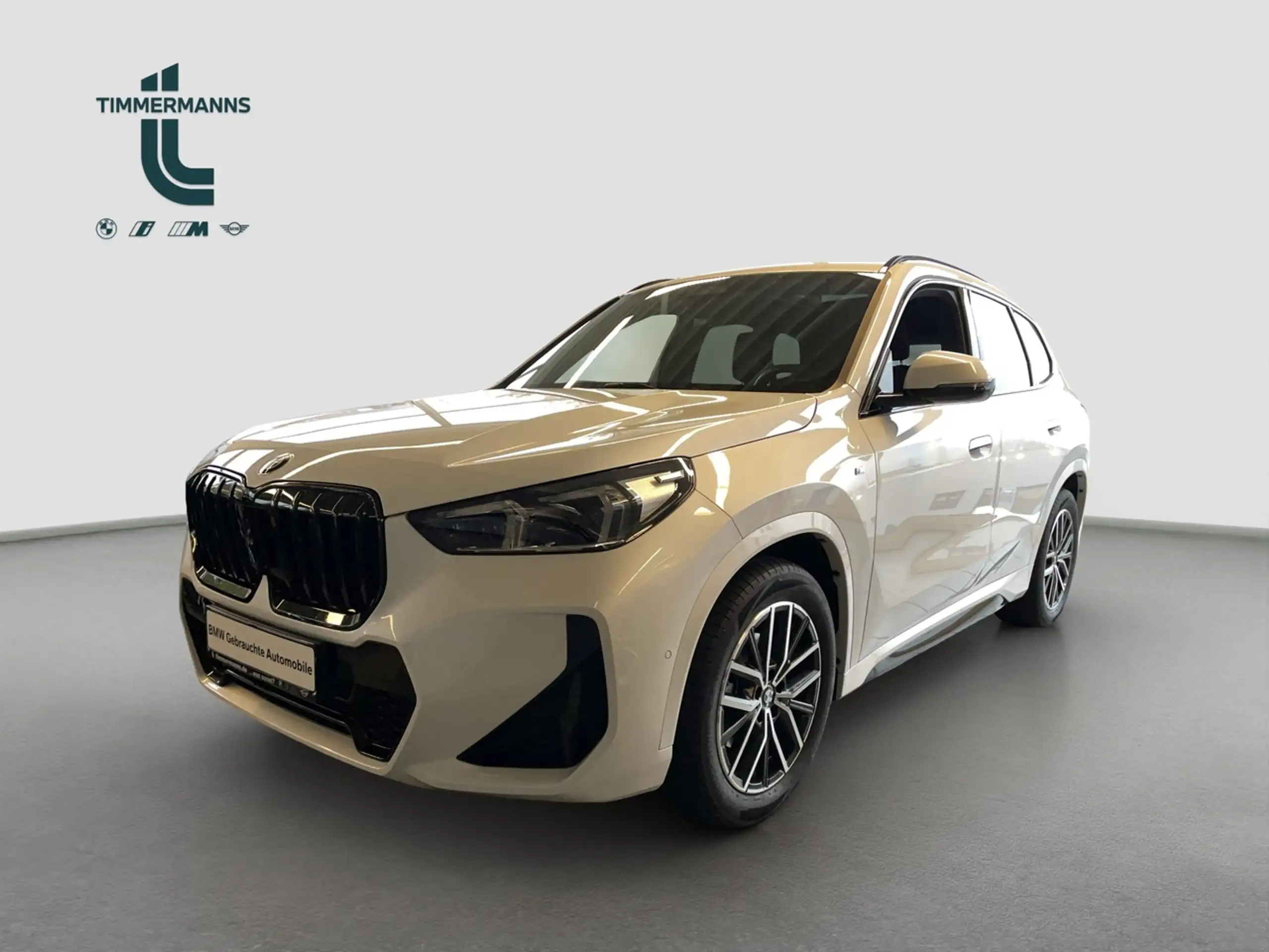 BMW - X1