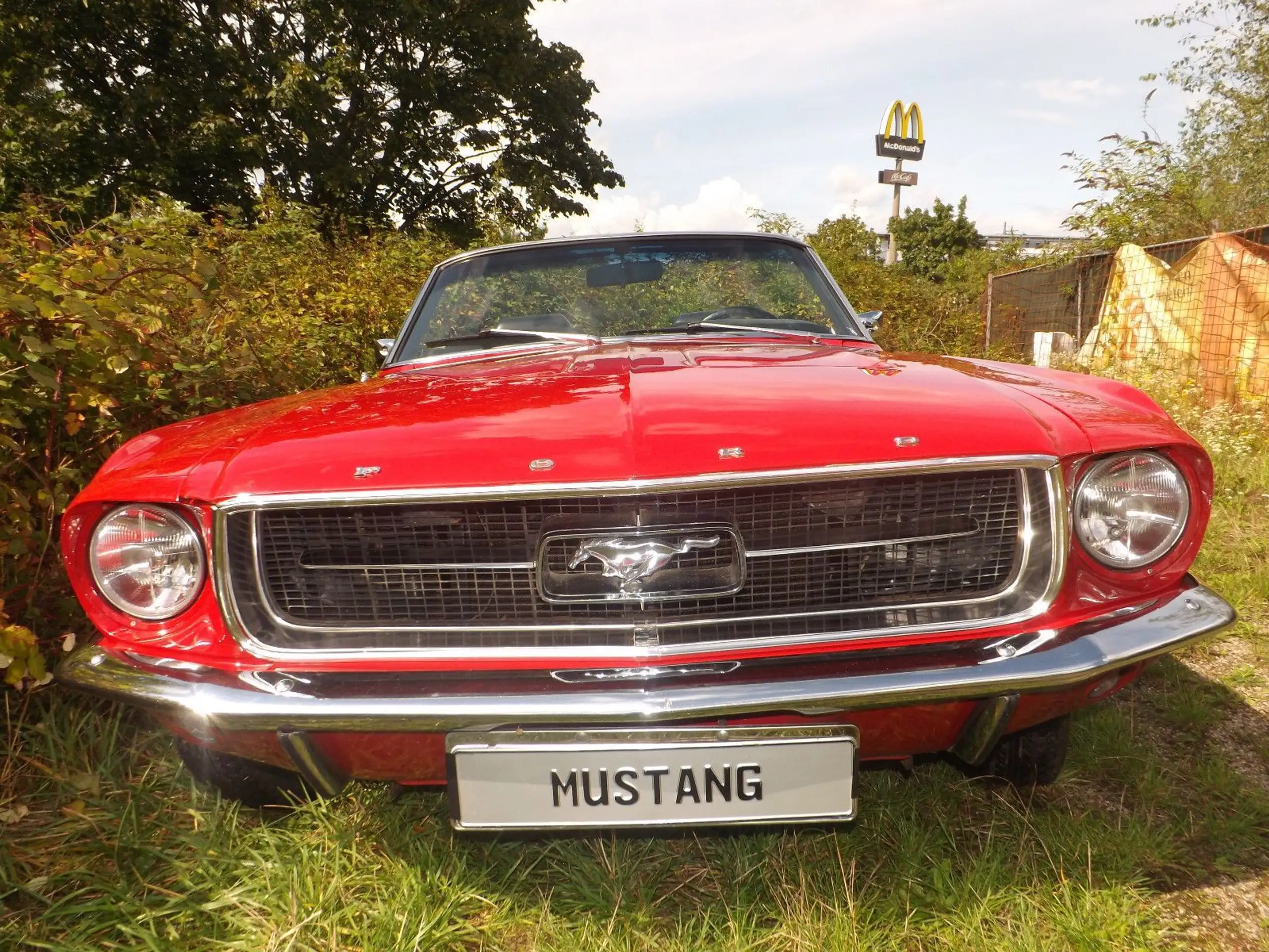 Ford - Mustang