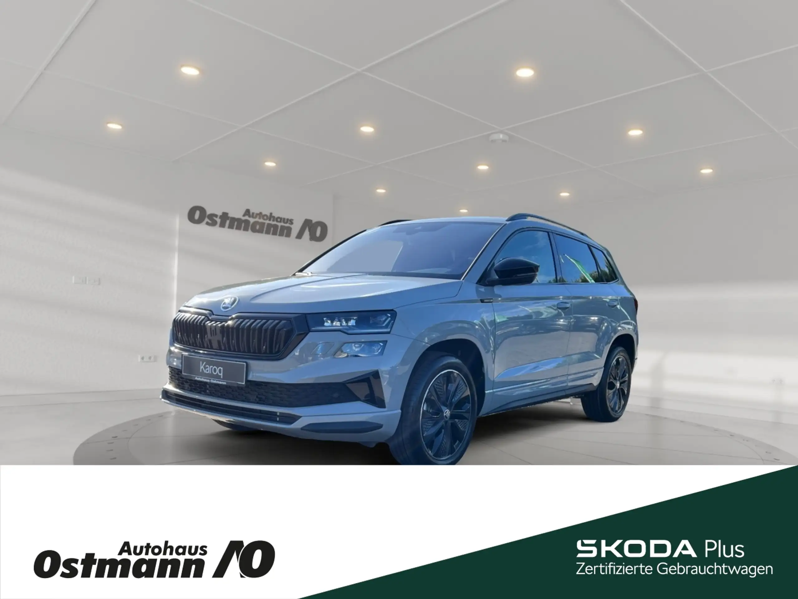 Skoda - Karoq