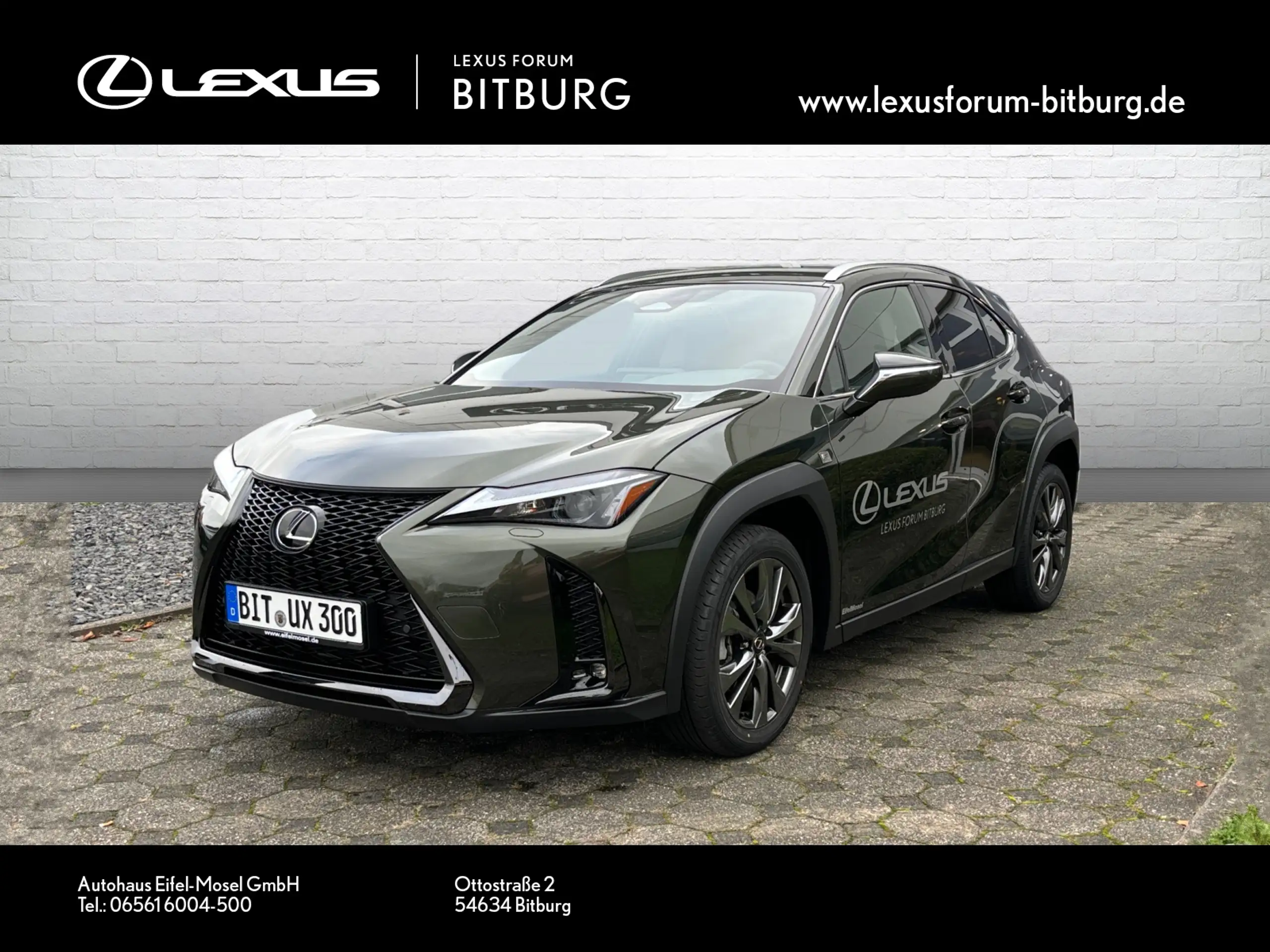 Lexus - UX 300e