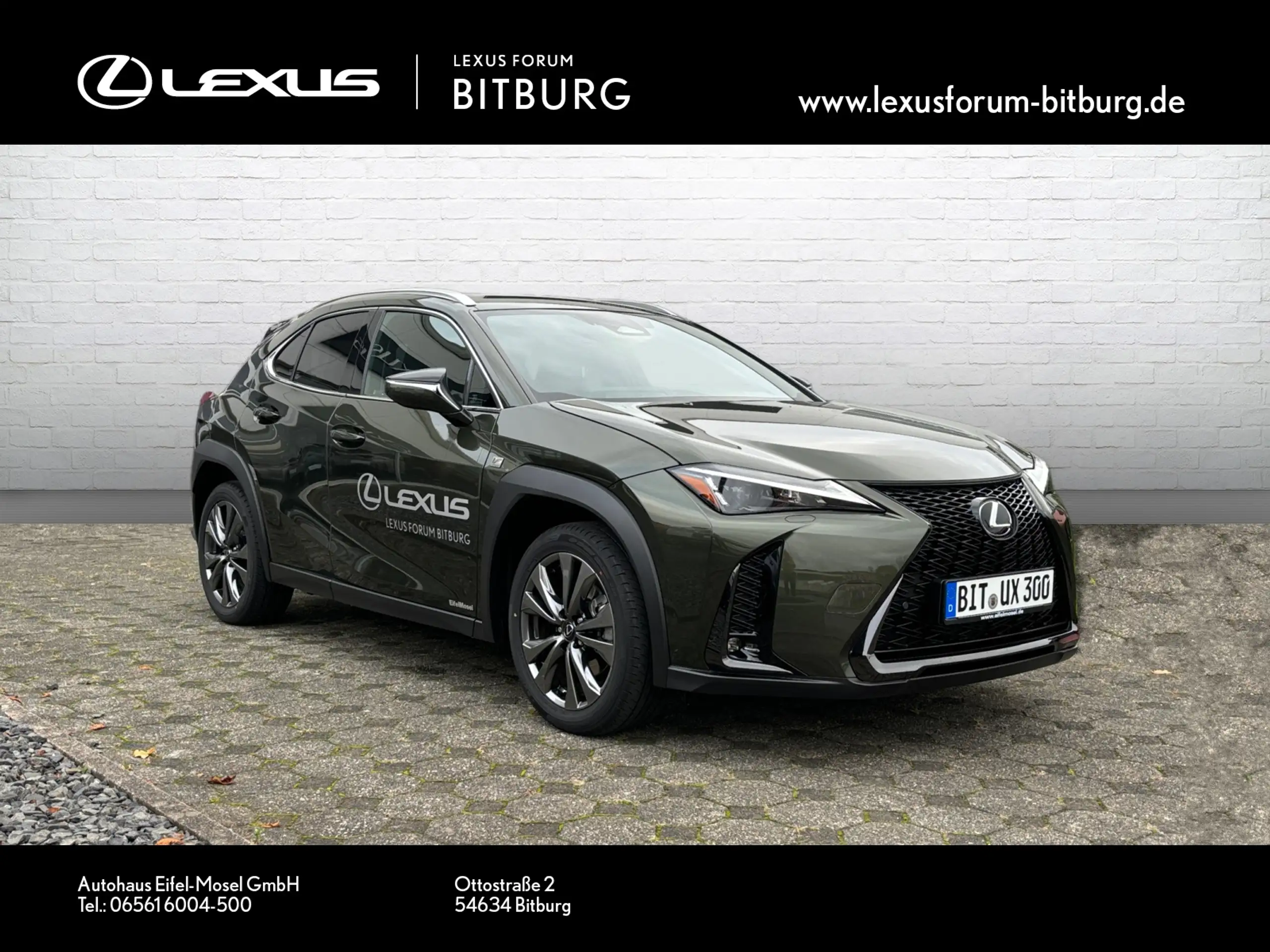 Lexus - UX 300e