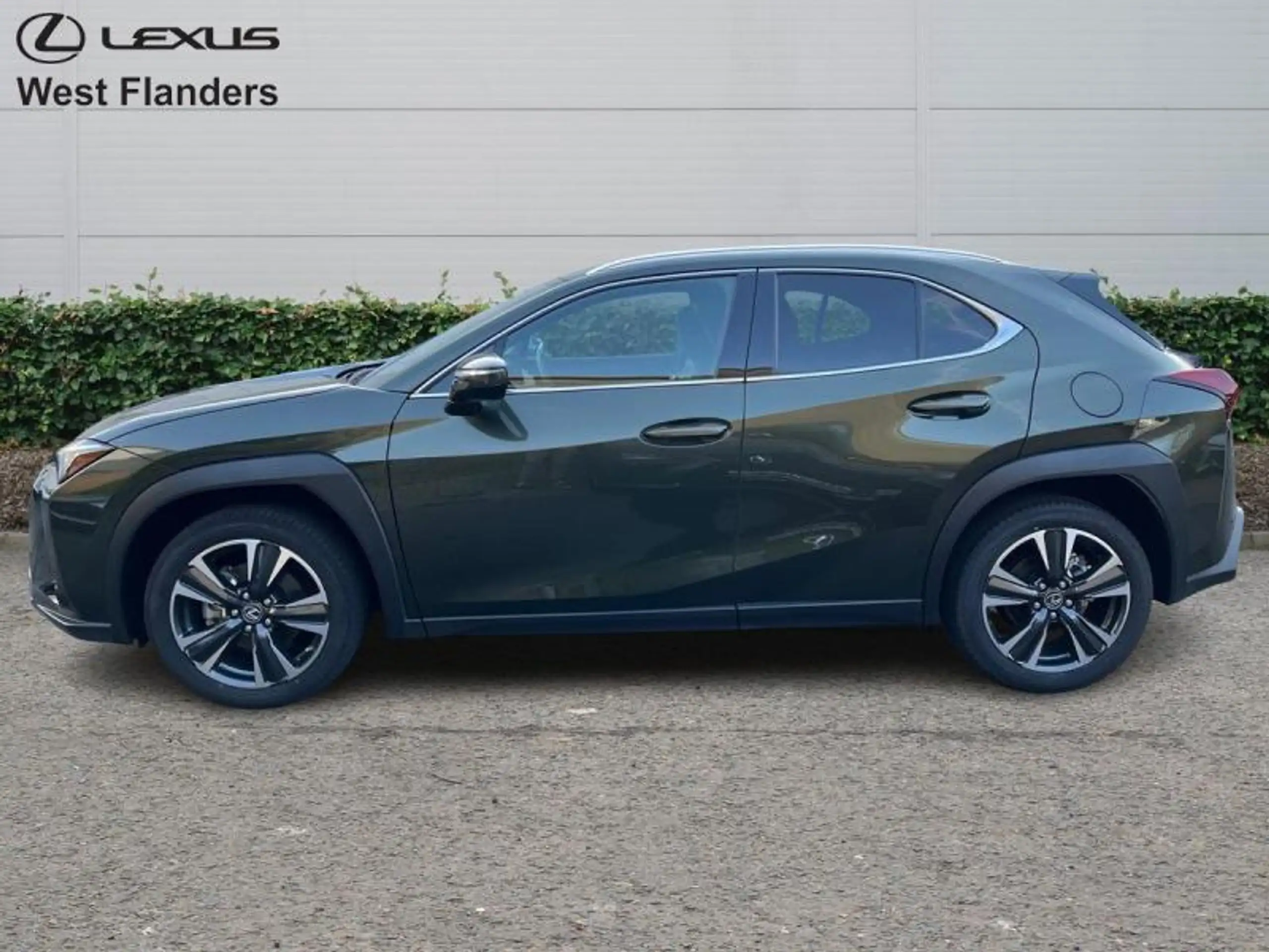 Lexus - UX 250h