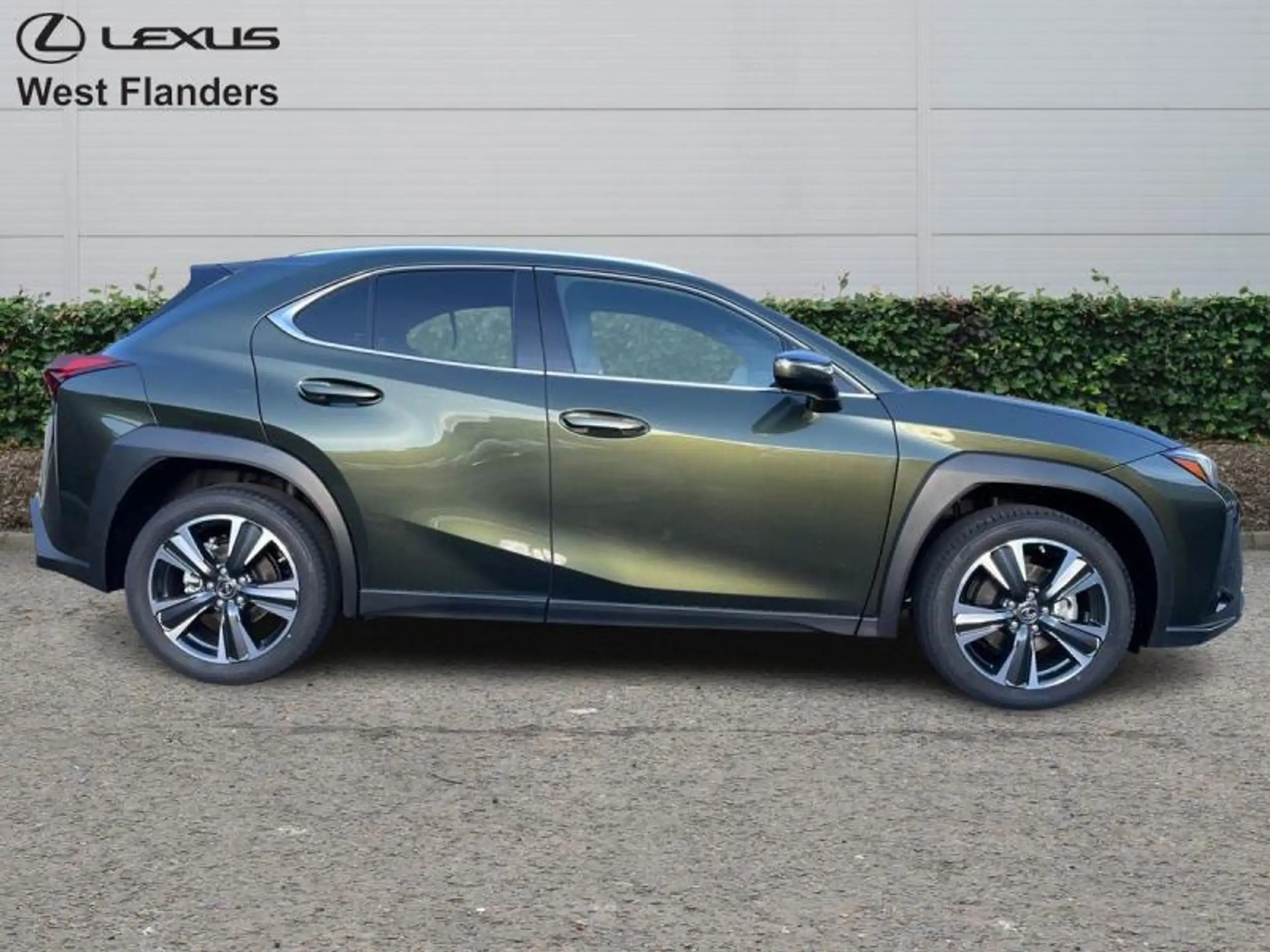 Lexus - UX 250h