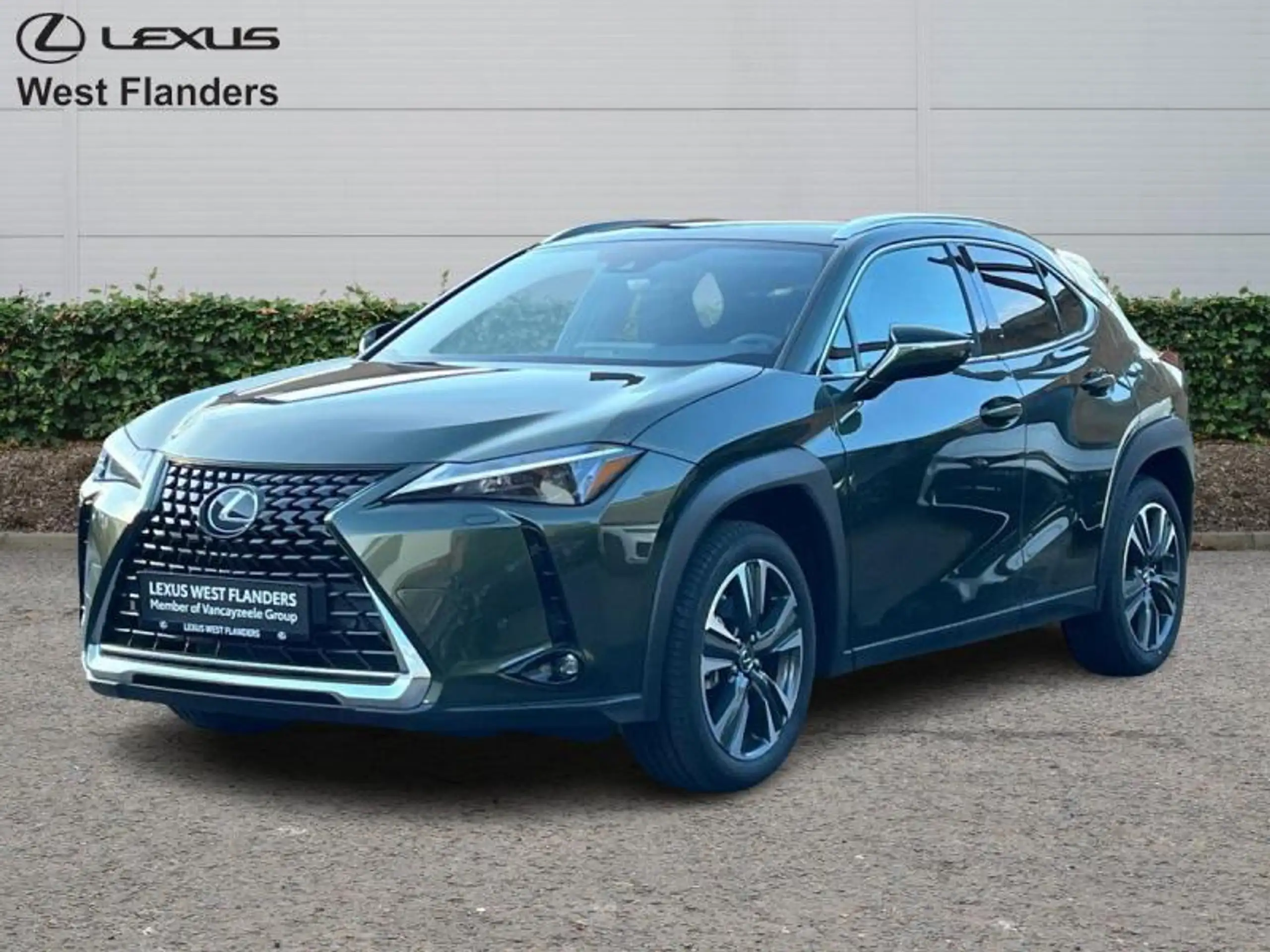 Lexus - UX 250h