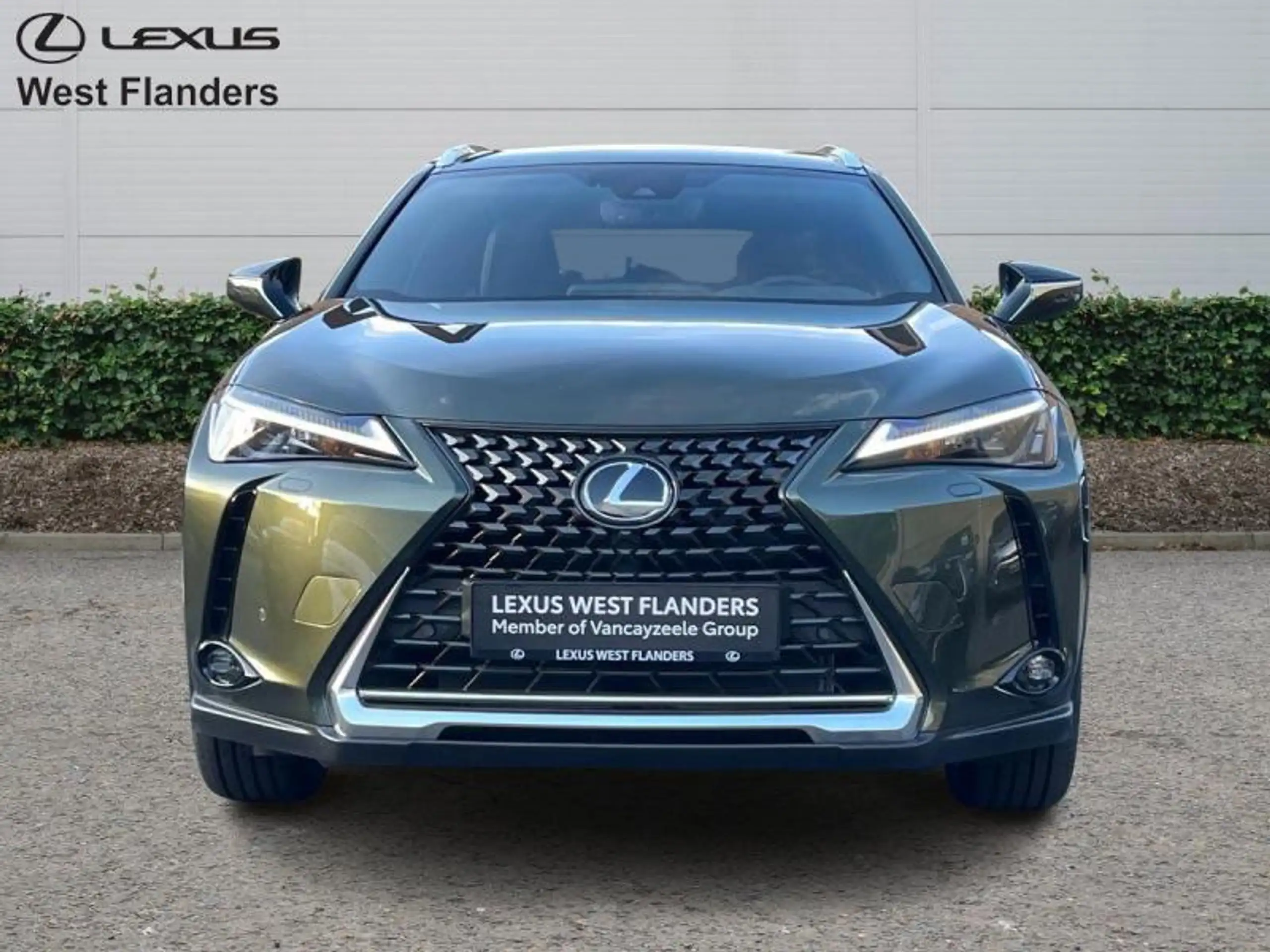 Lexus - UX 250h