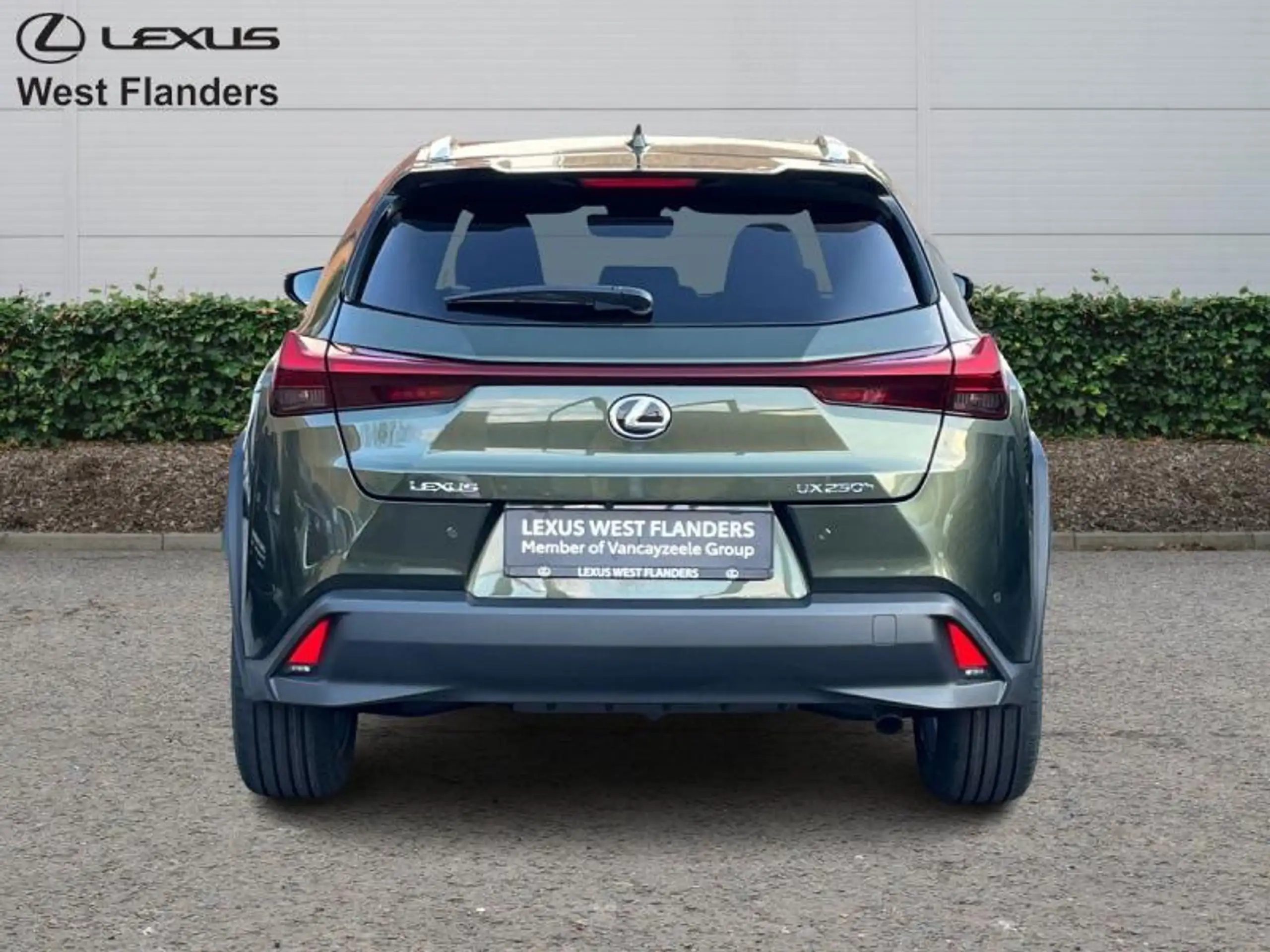 Lexus - UX 250h