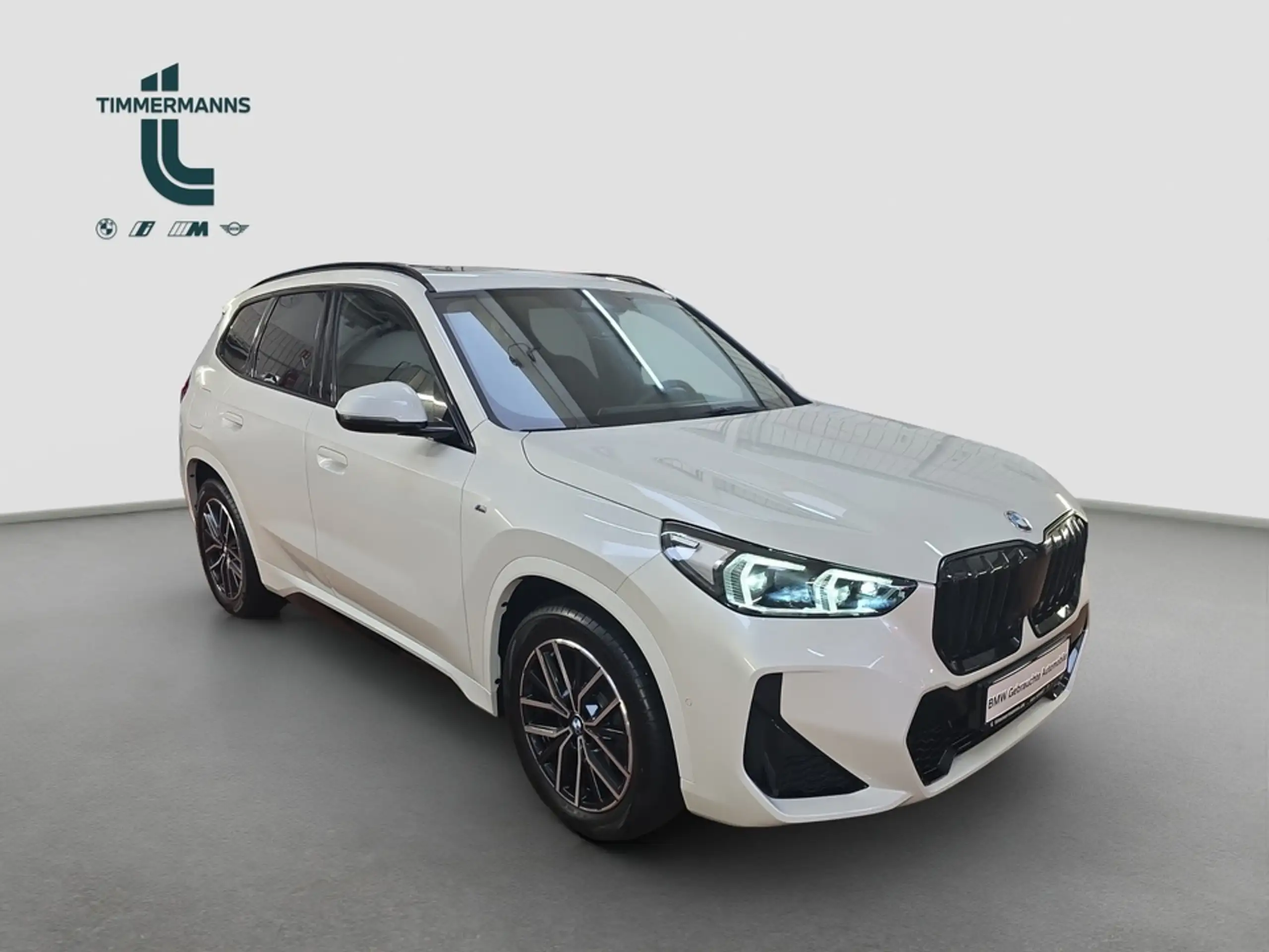 BMW - X1