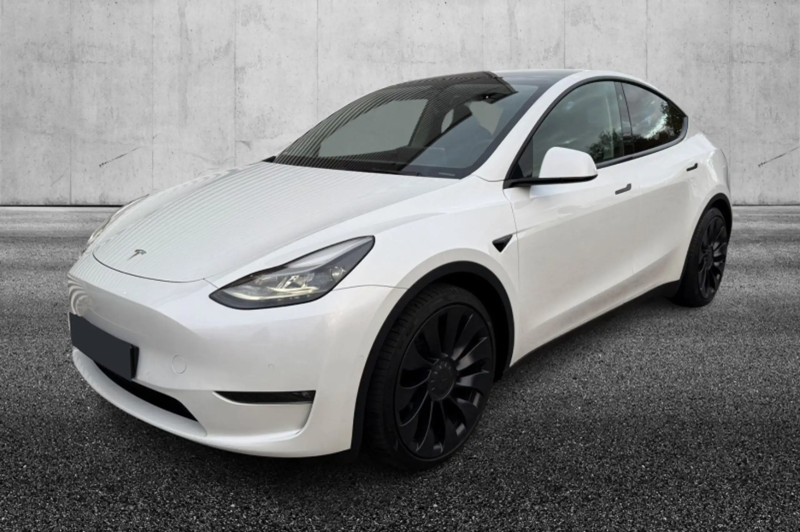 Tesla - Model Y