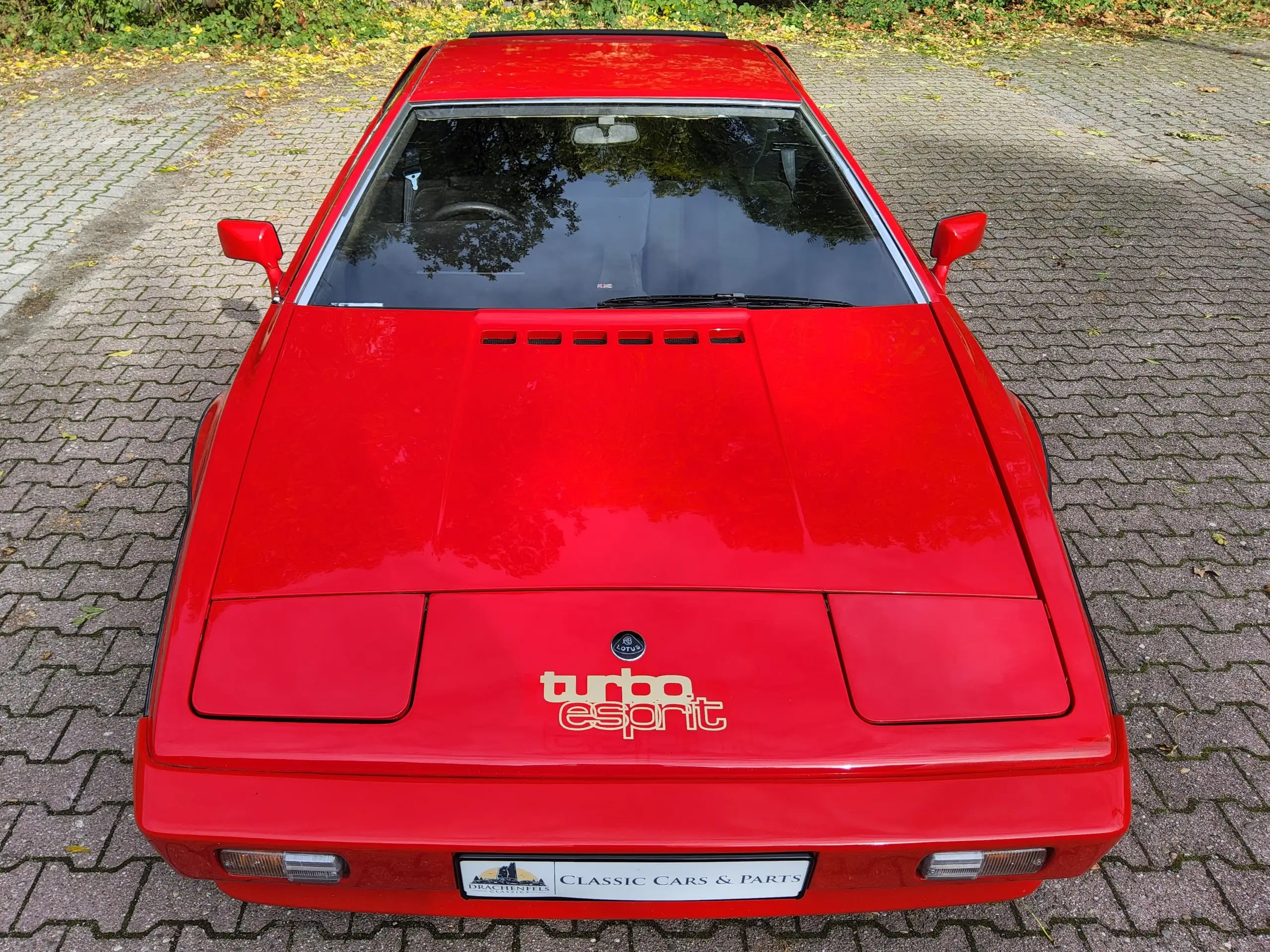 Lotus - Esprit