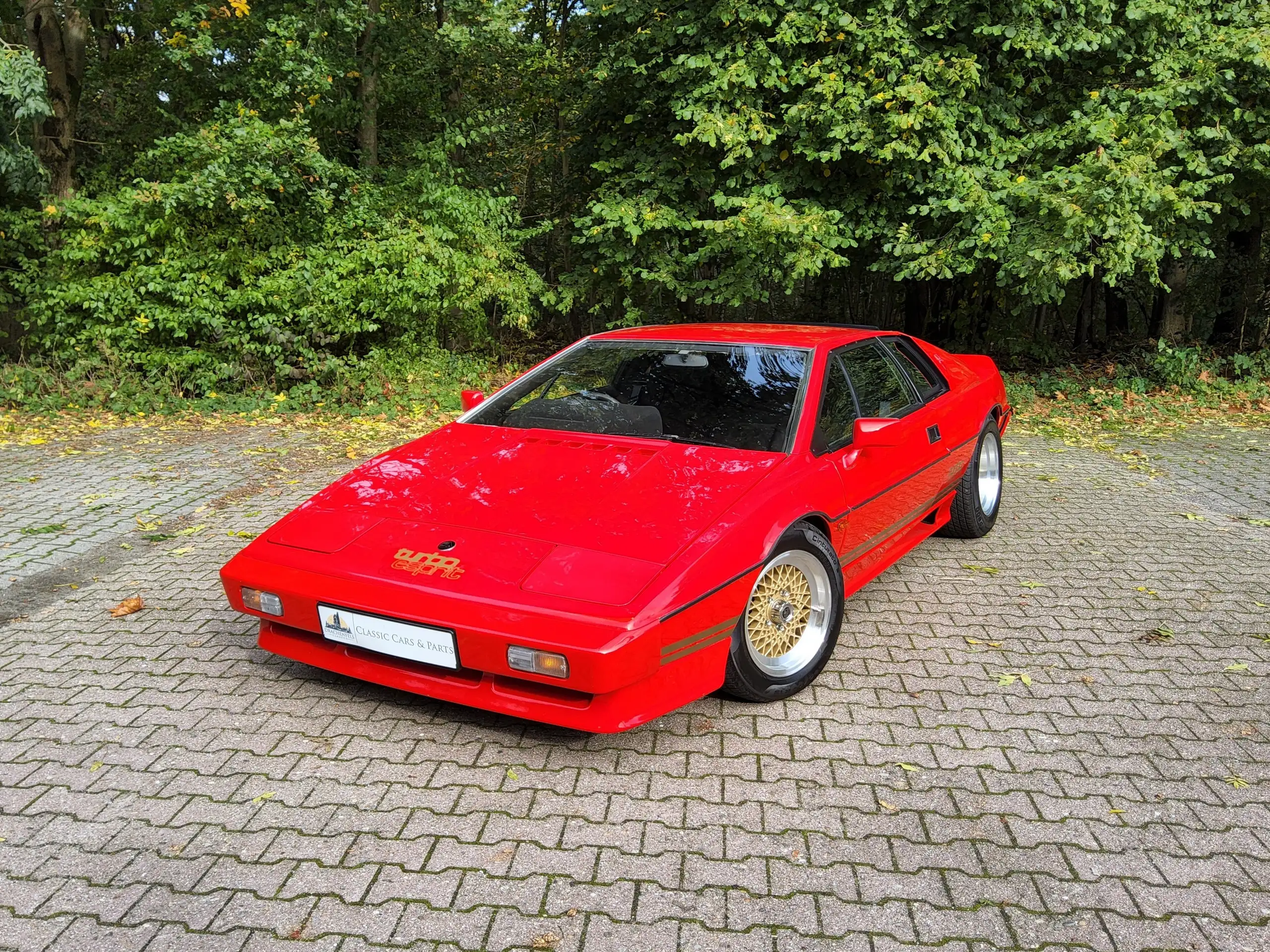 Lotus - Esprit