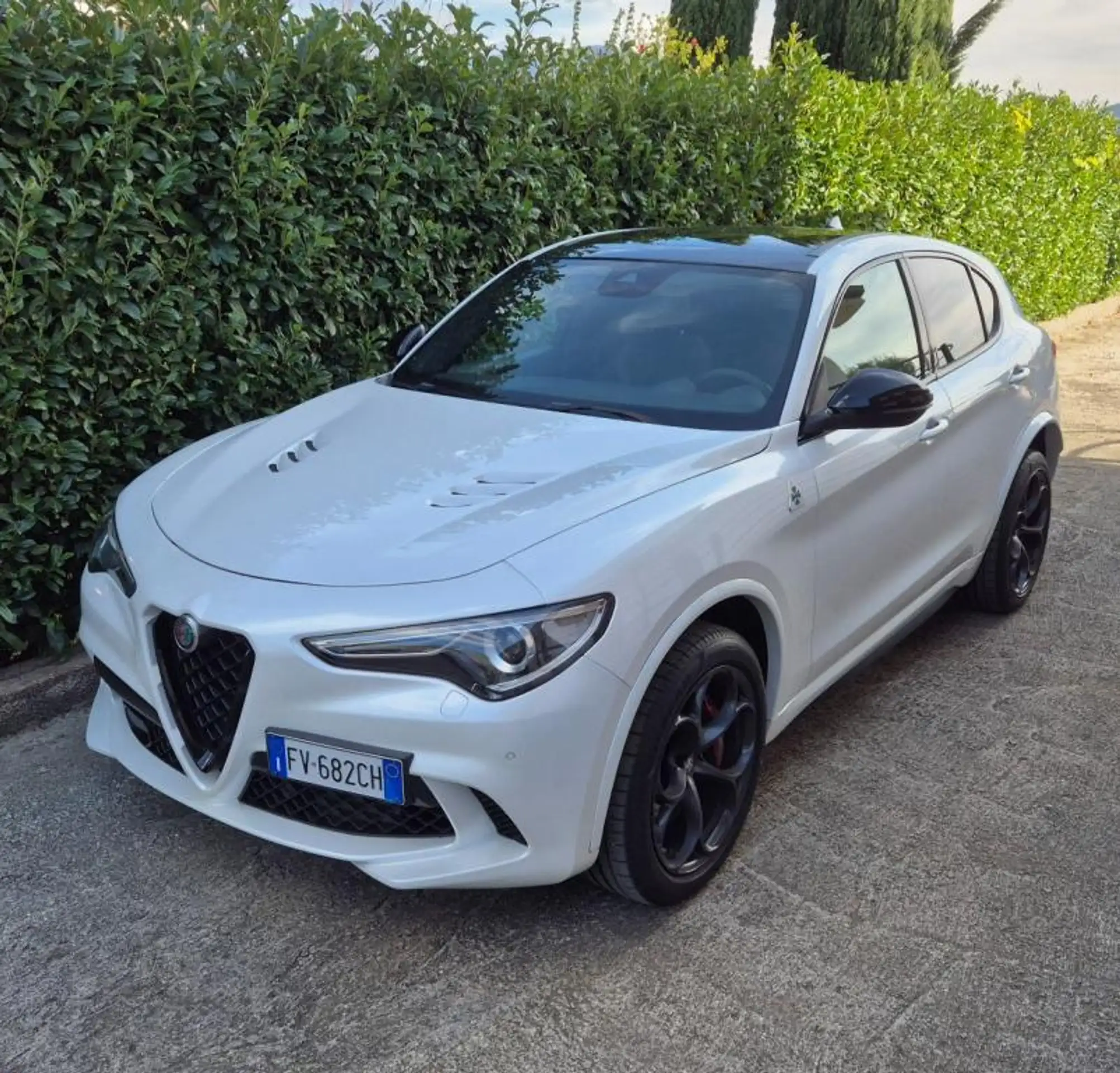 Alfa Romeo - Stelvio