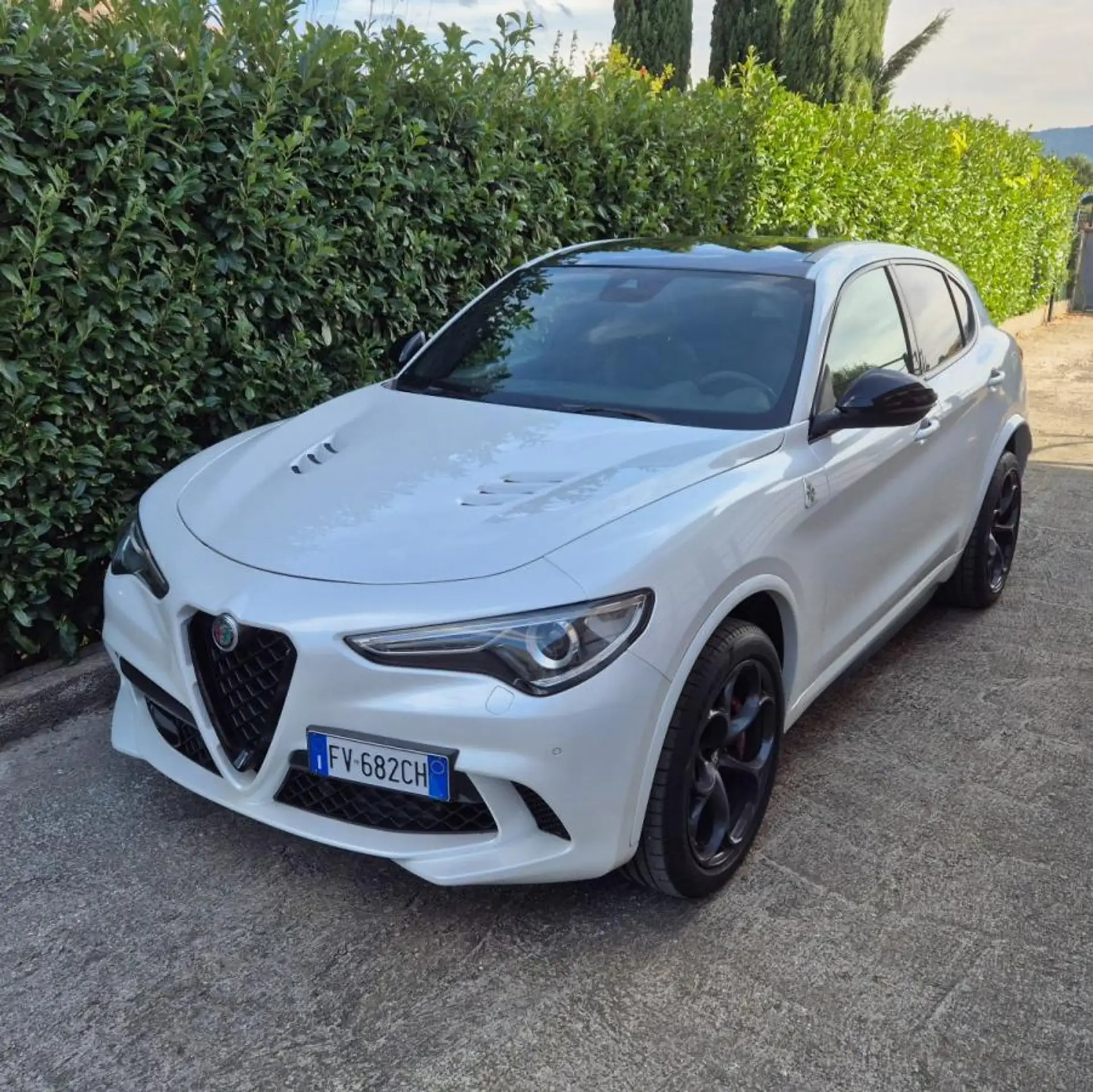 Alfa Romeo - Stelvio