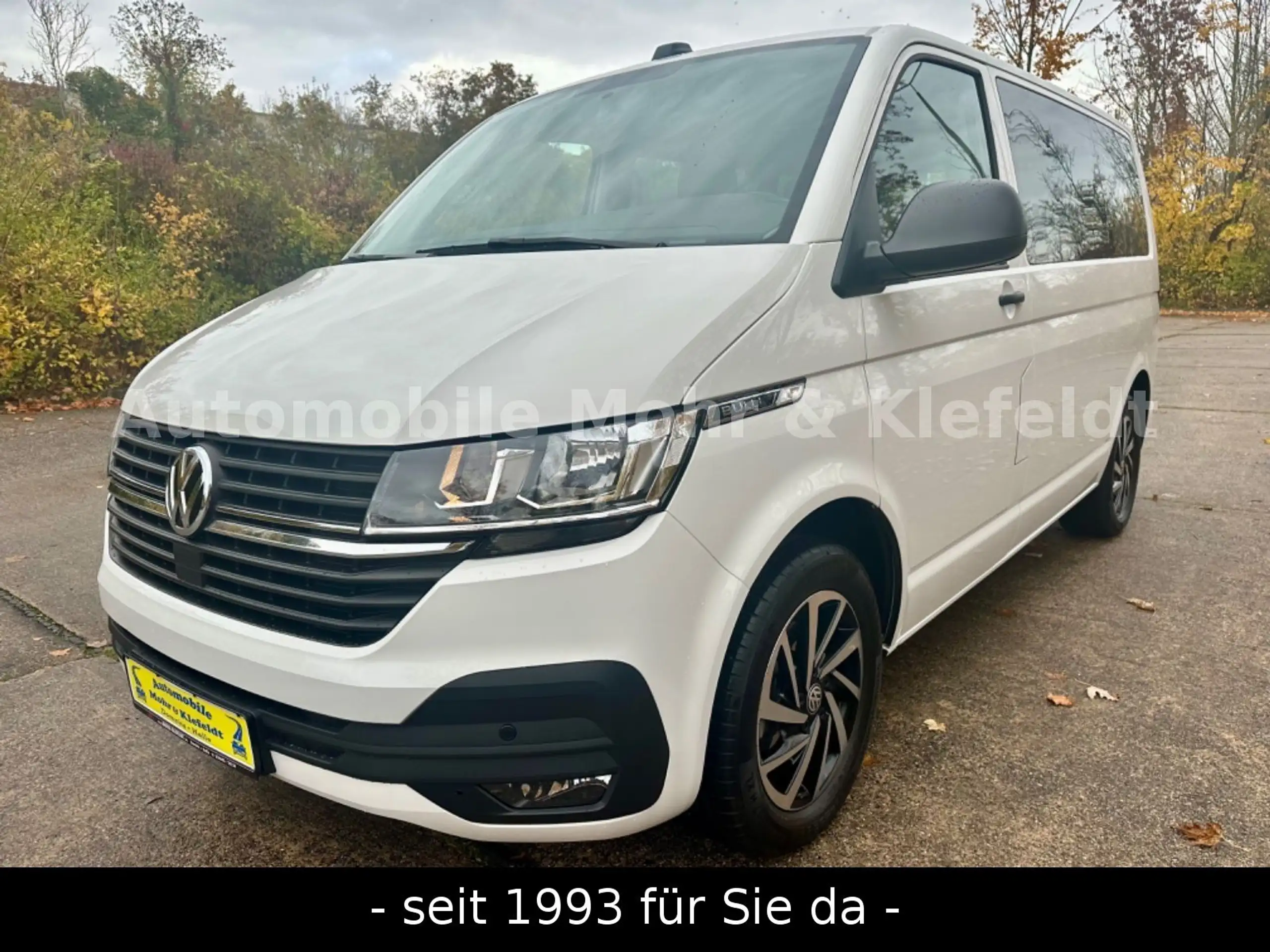 Volkswagen T6 Multivan 2020