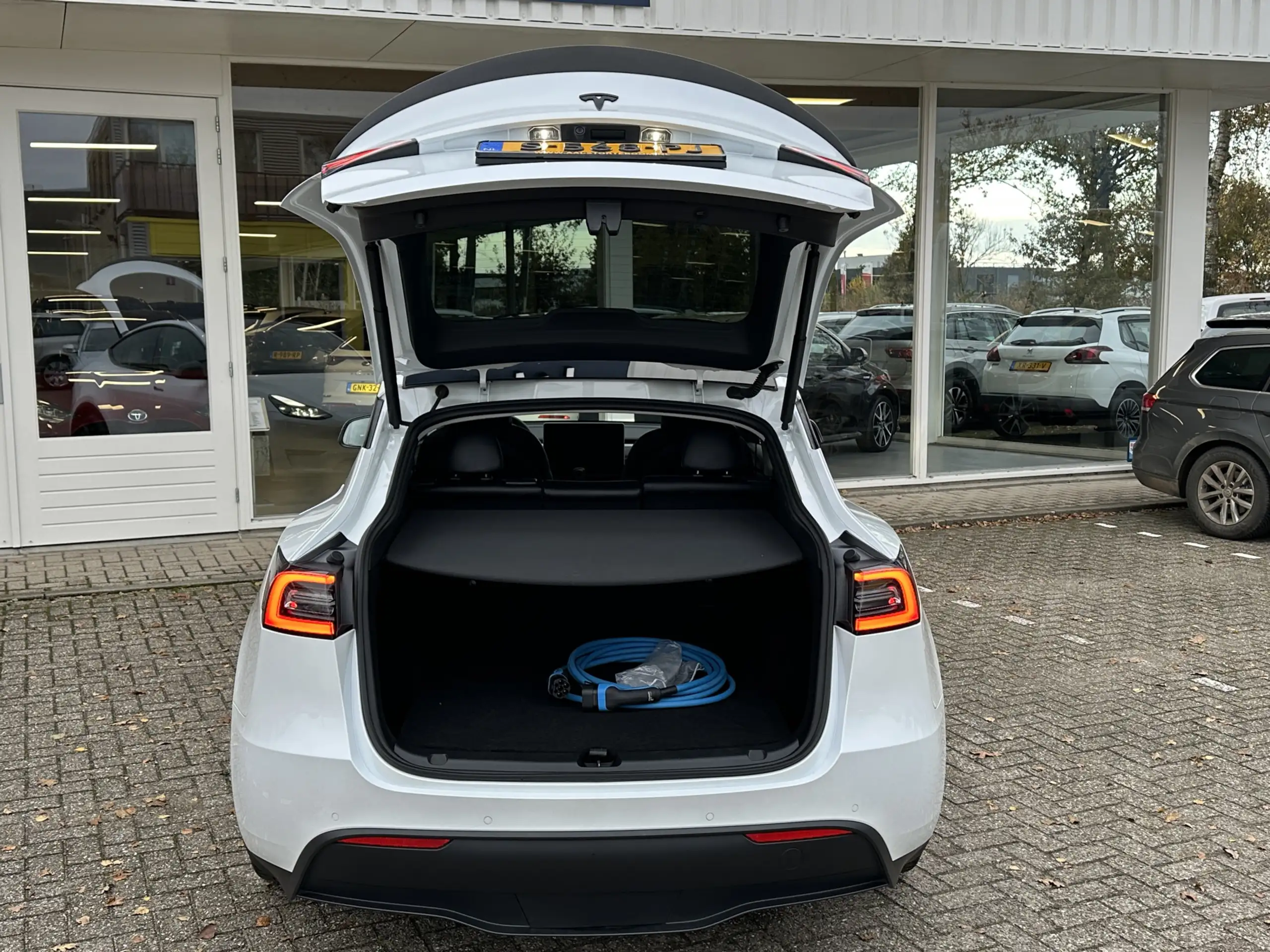 Tesla - Model Y