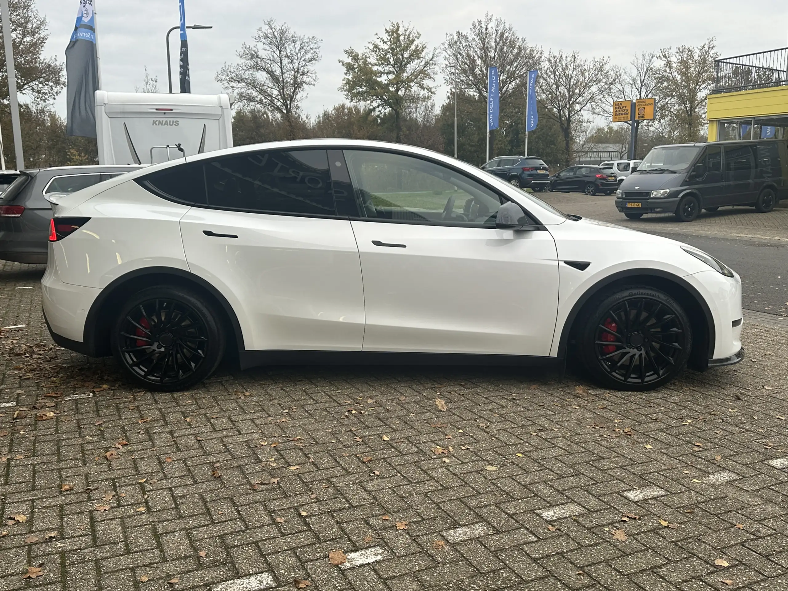 Tesla - Model Y