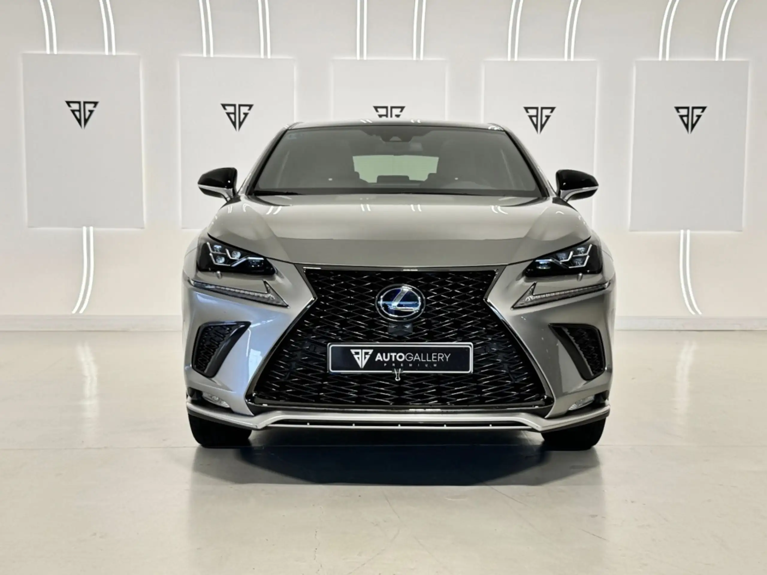 Lexus - NX 300