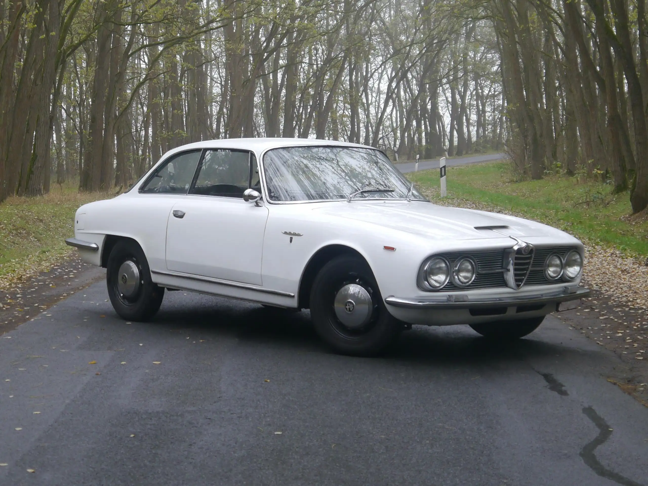 Alfa Romeo - Sprint