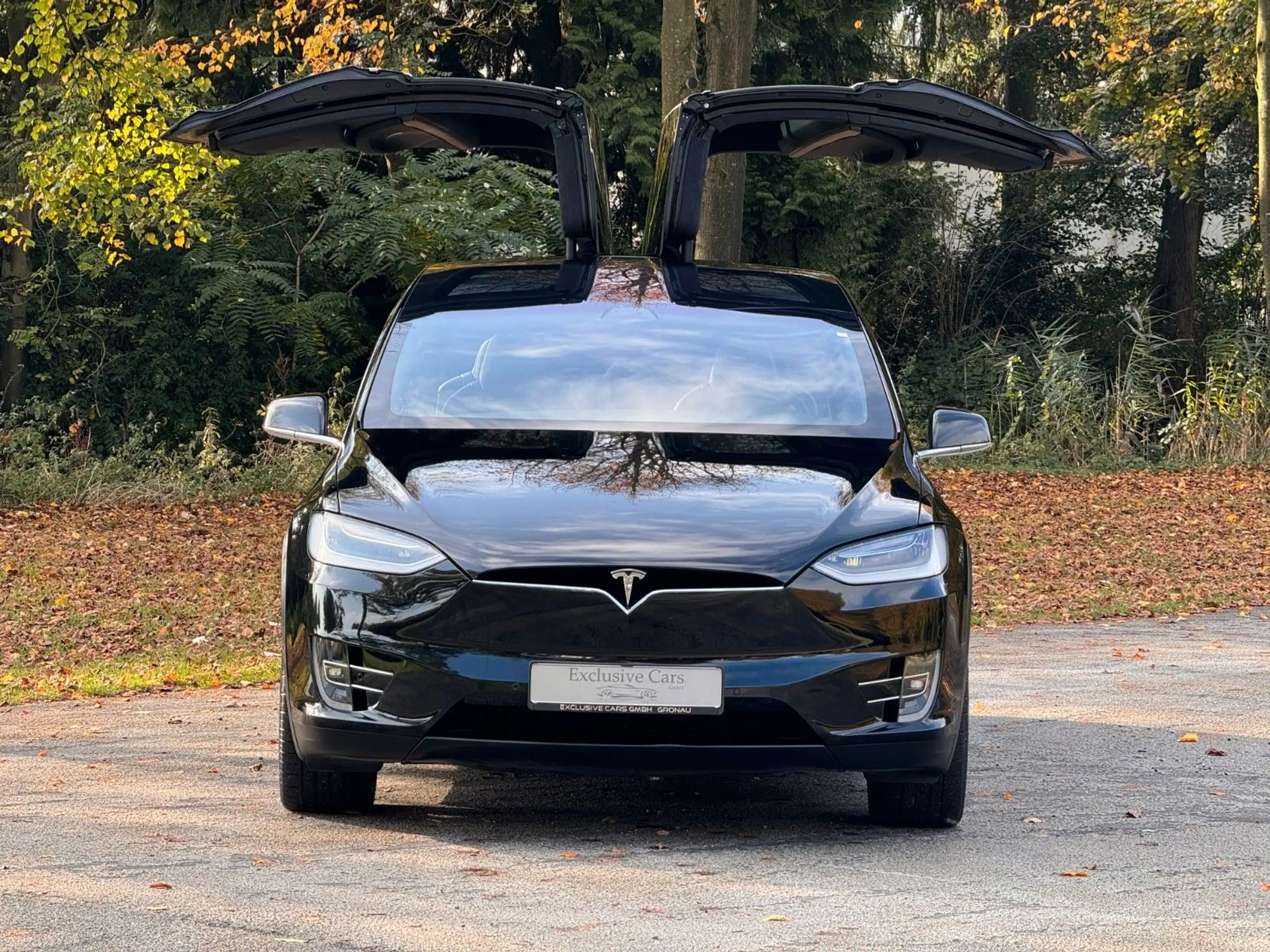 Tesla - Model X