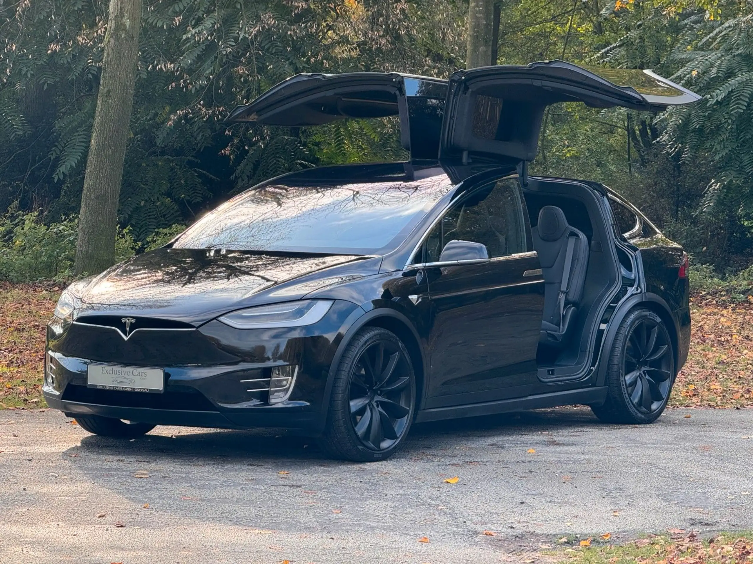 Tesla - Model X