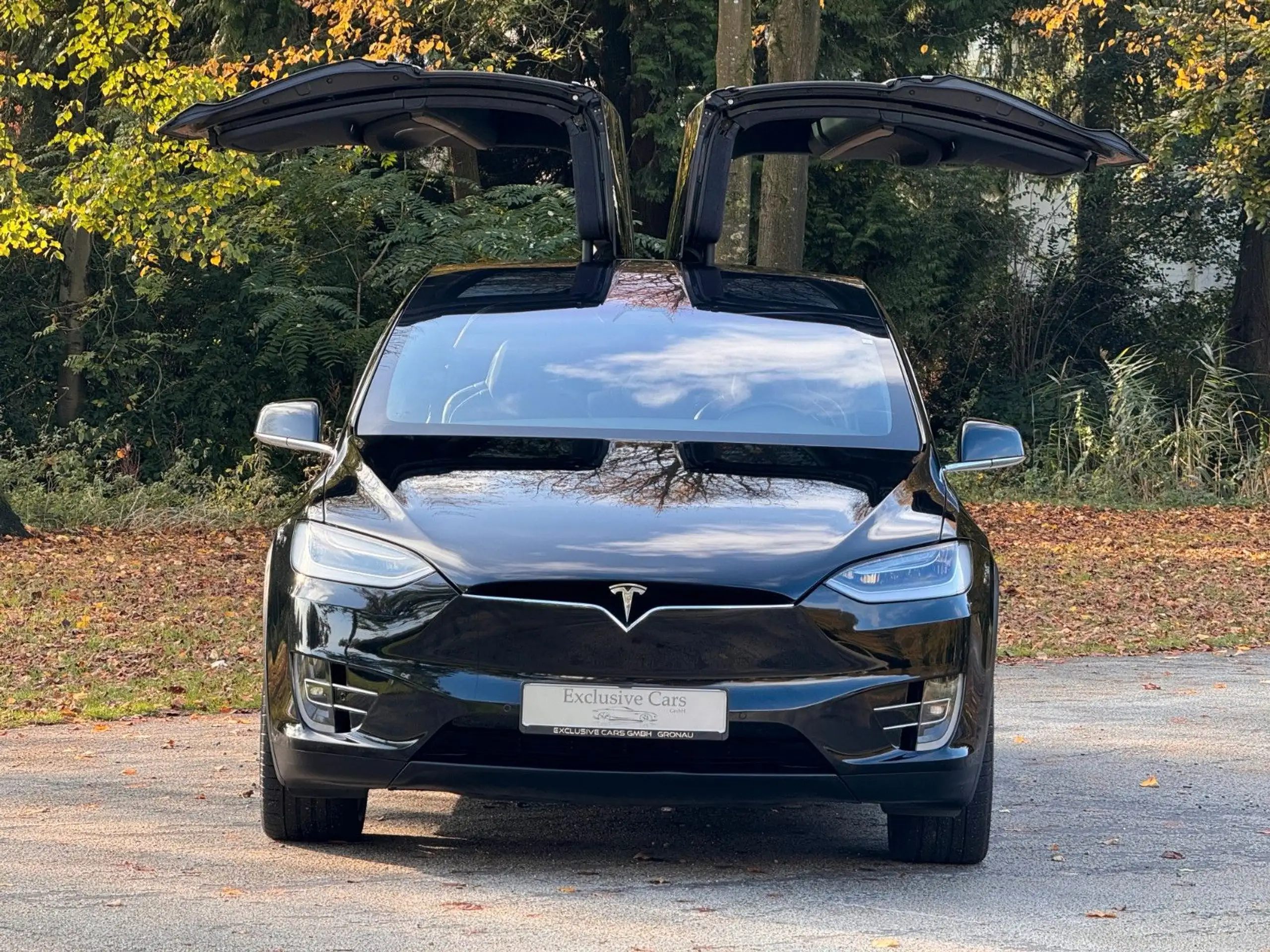 Tesla - Model X