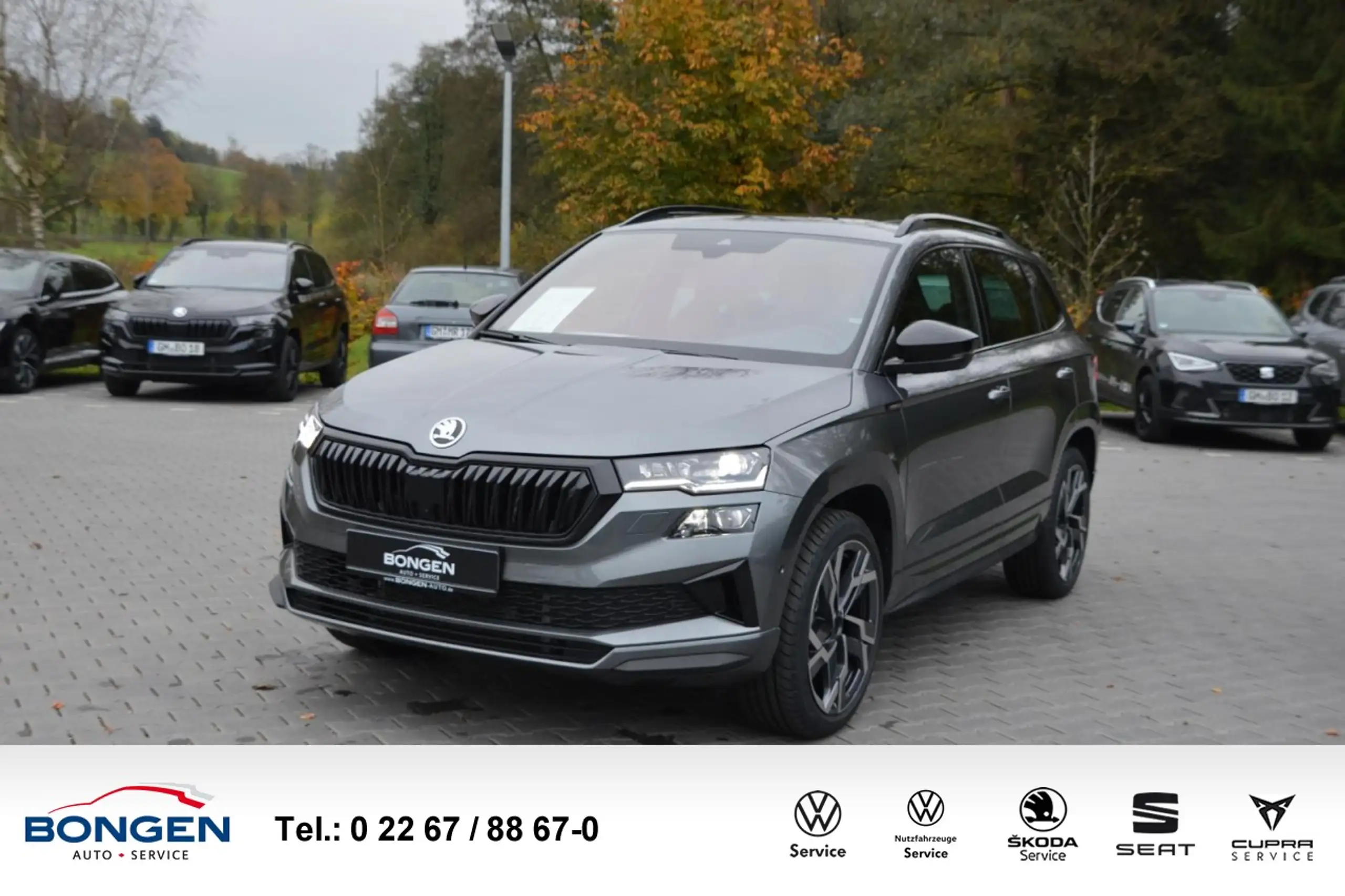 Skoda - Karoq