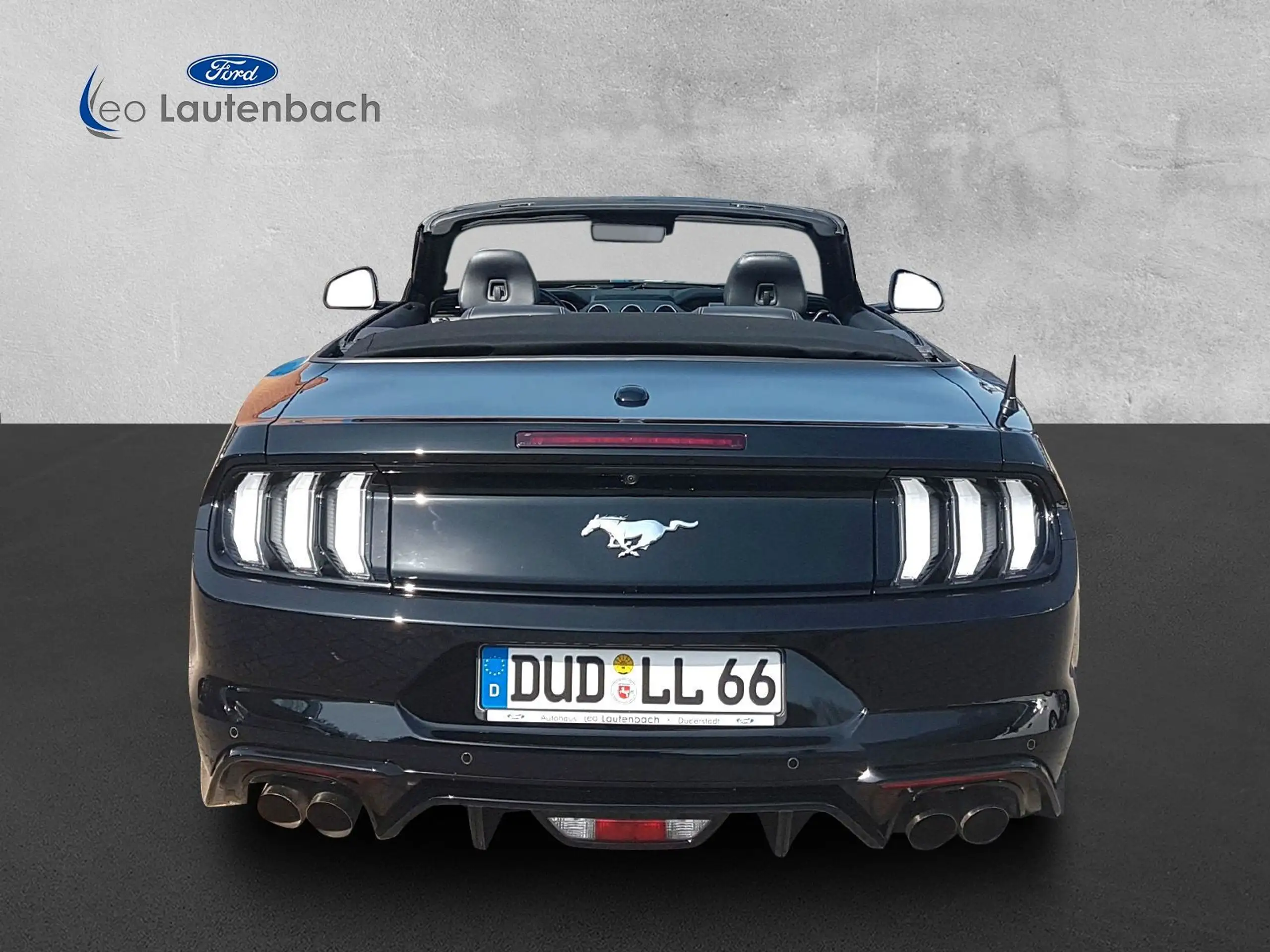 Ford - Mustang