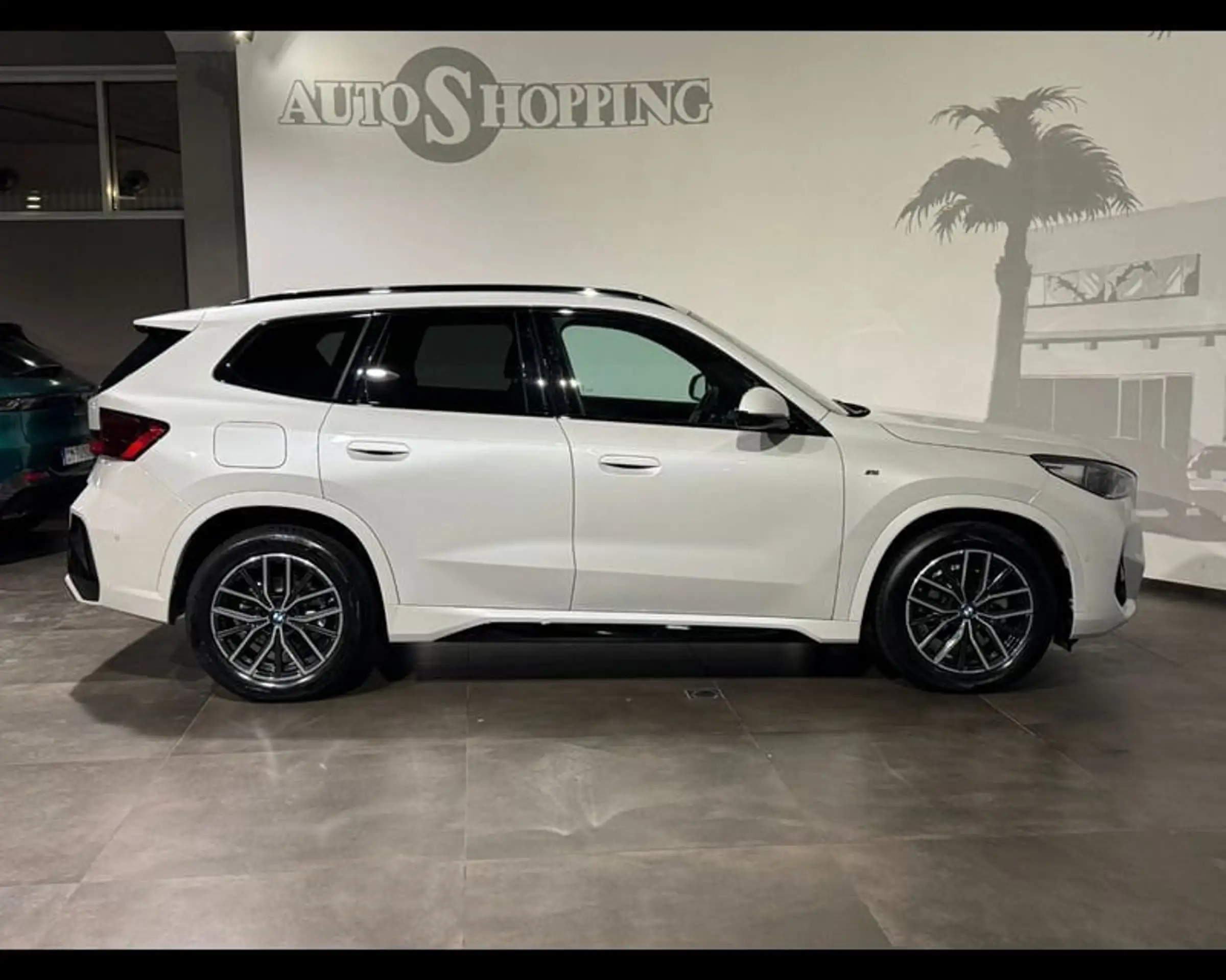 BMW - X1