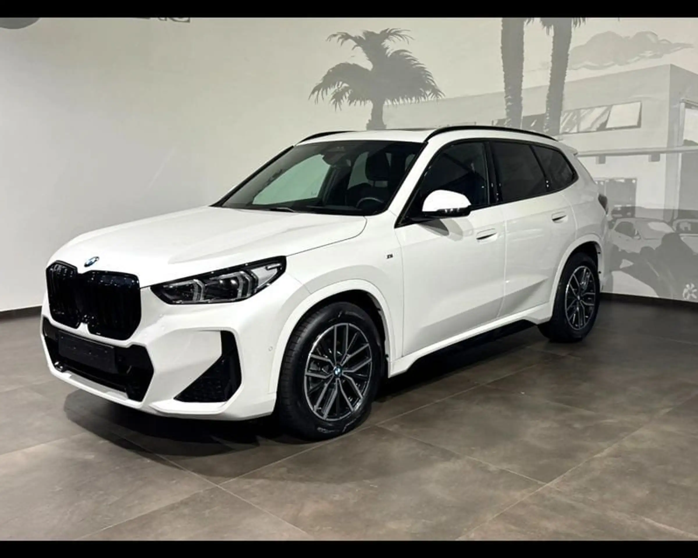 BMW - X1